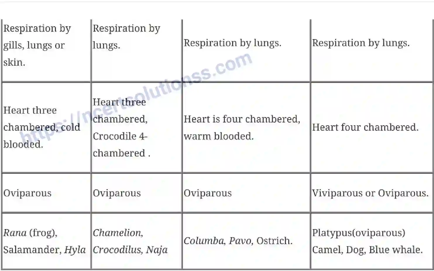 NCERT-Notes-Class-11-Biology-Animal-Kingdom-228-page-8