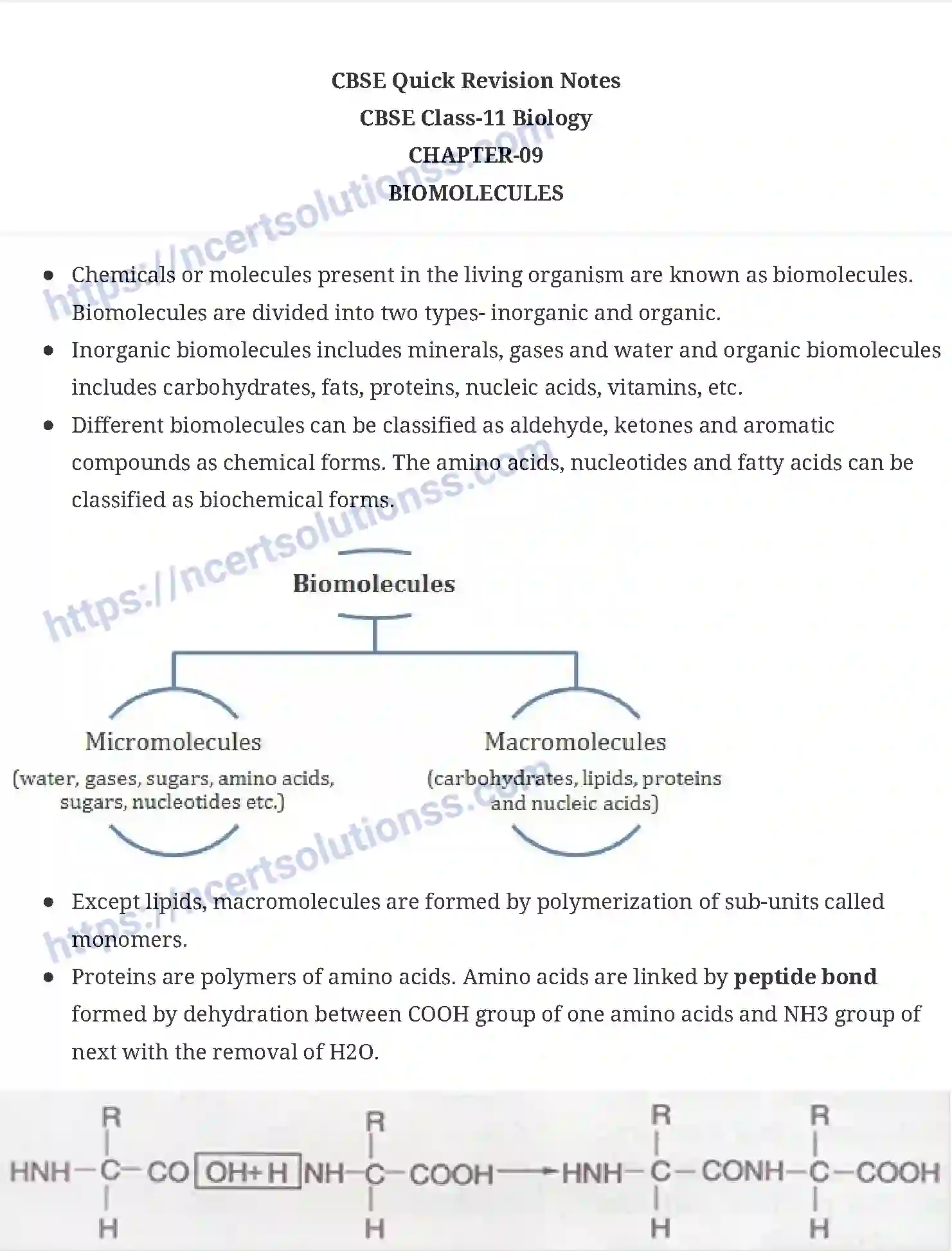 NCERT-Notes-Class-11-Biology-Biomolecule-233-page-1
