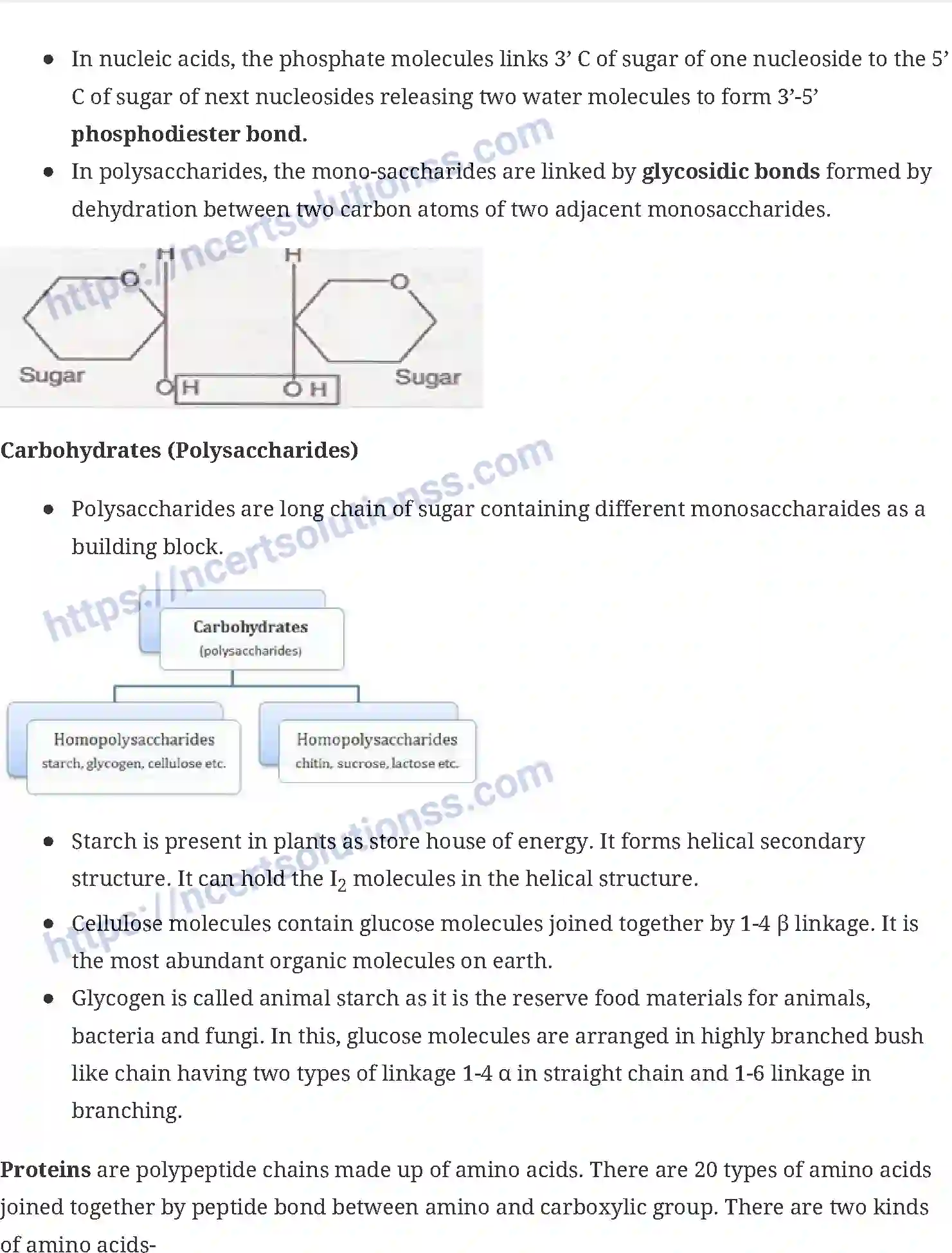 NCERT-Notes-Class-11-Biology-Biomolecule-233-page-2