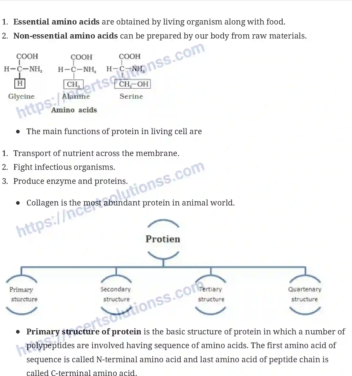 NCERT-Notes-Class-11-Biology-Biomolecule-233-page-3