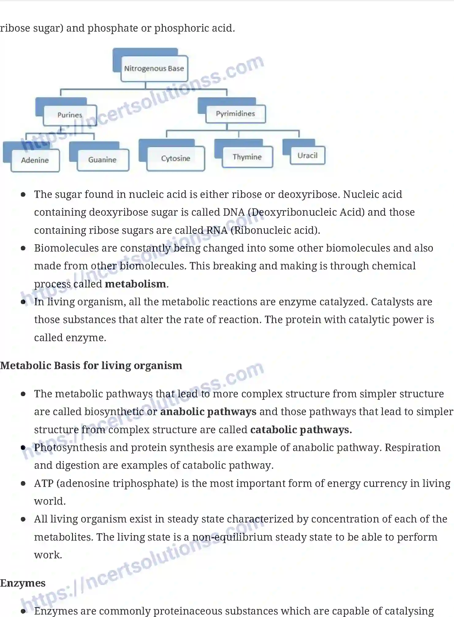 NCERT-Notes-Class-11-Biology-Biomolecule-233-page-5