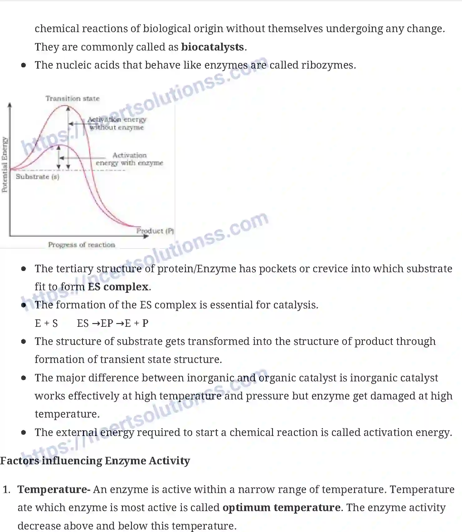 NCERT-Notes-Class-11-Biology-Biomolecule-233-page-6