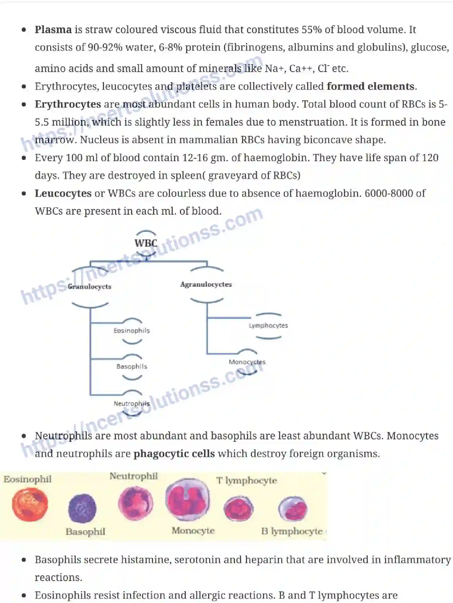 NCERT-Notes-Class-11-Biology-Body-Fluids-and-Circulation-242-page-2