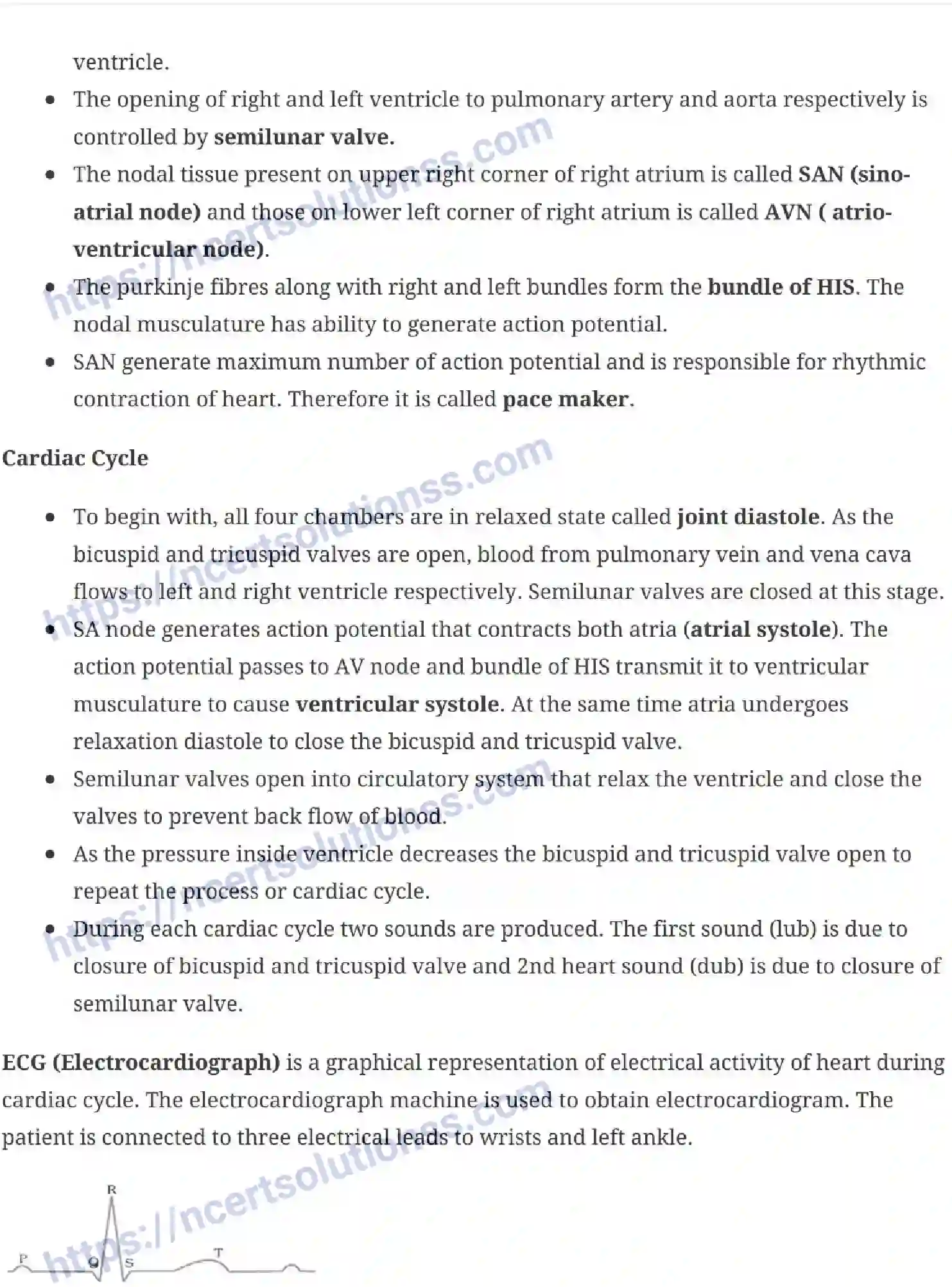 NCERT-Notes-Class-11-Biology-Body-Fluids-and-Circulation-242-page-6