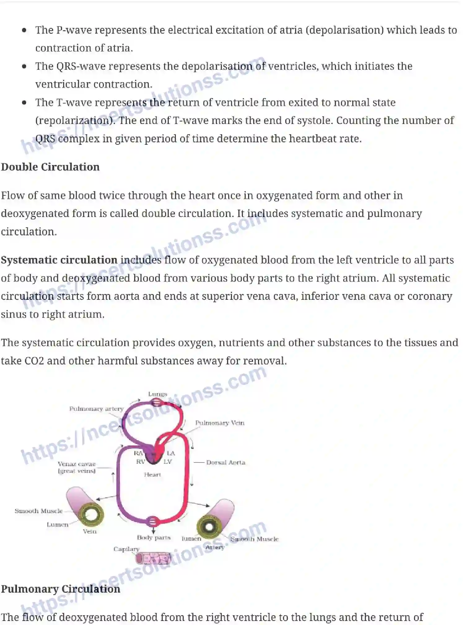 NCERT-Notes-Class-11-Biology-Body-Fluids-and-Circulation-242-page-7