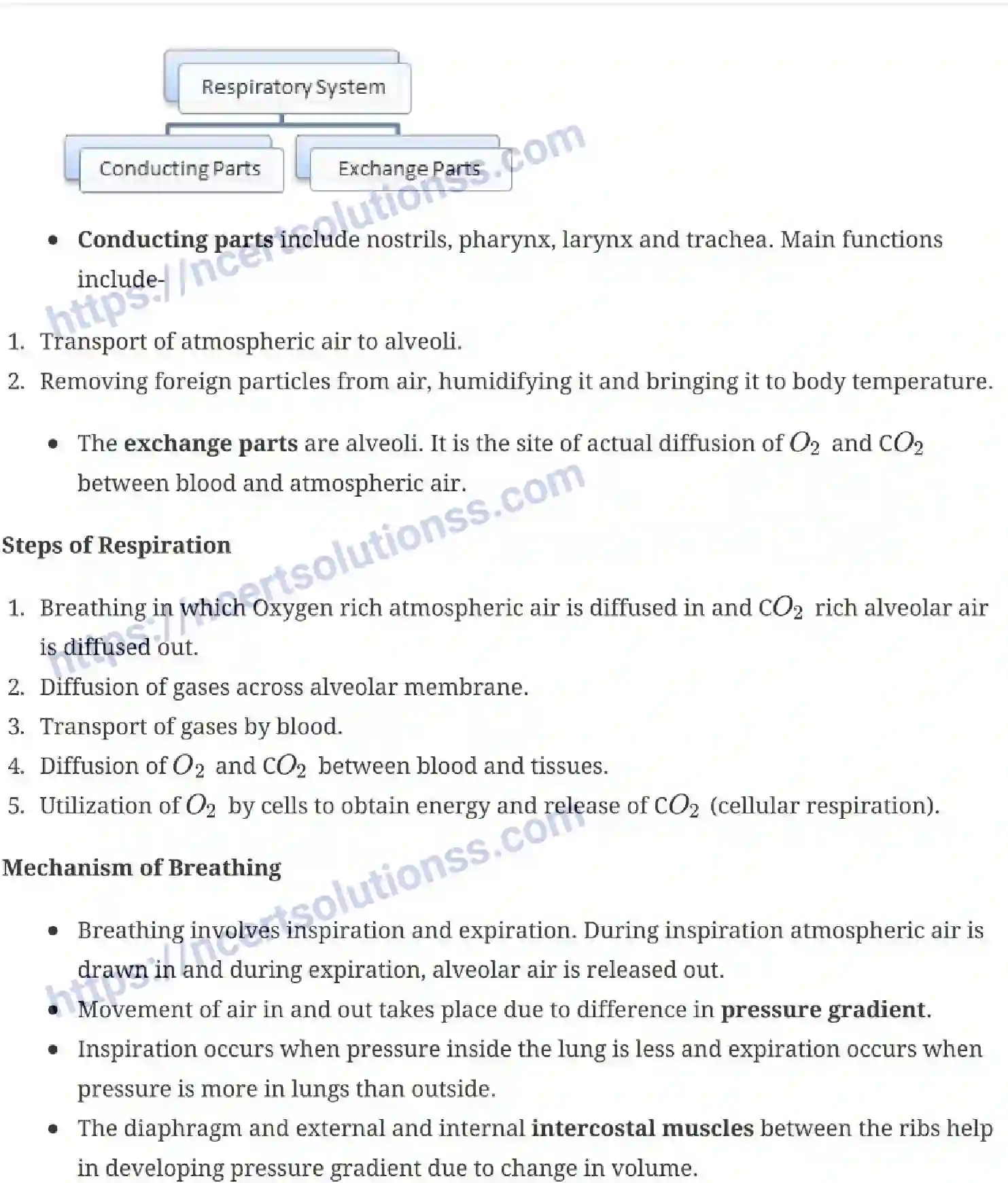 NCERT-Notes-Class-11-Biology-Breathing-and-Exchange-of-Gases-241-page-3