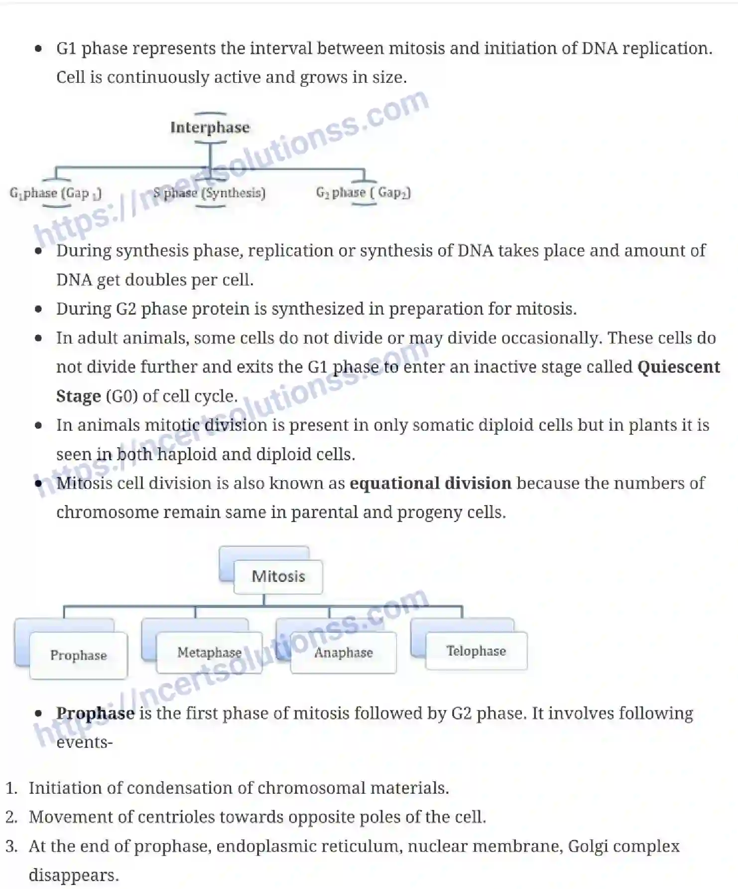 NCERT-Notes-Class-11-Biology-Cell-Cycle-and-Cell-Division-234-page-2