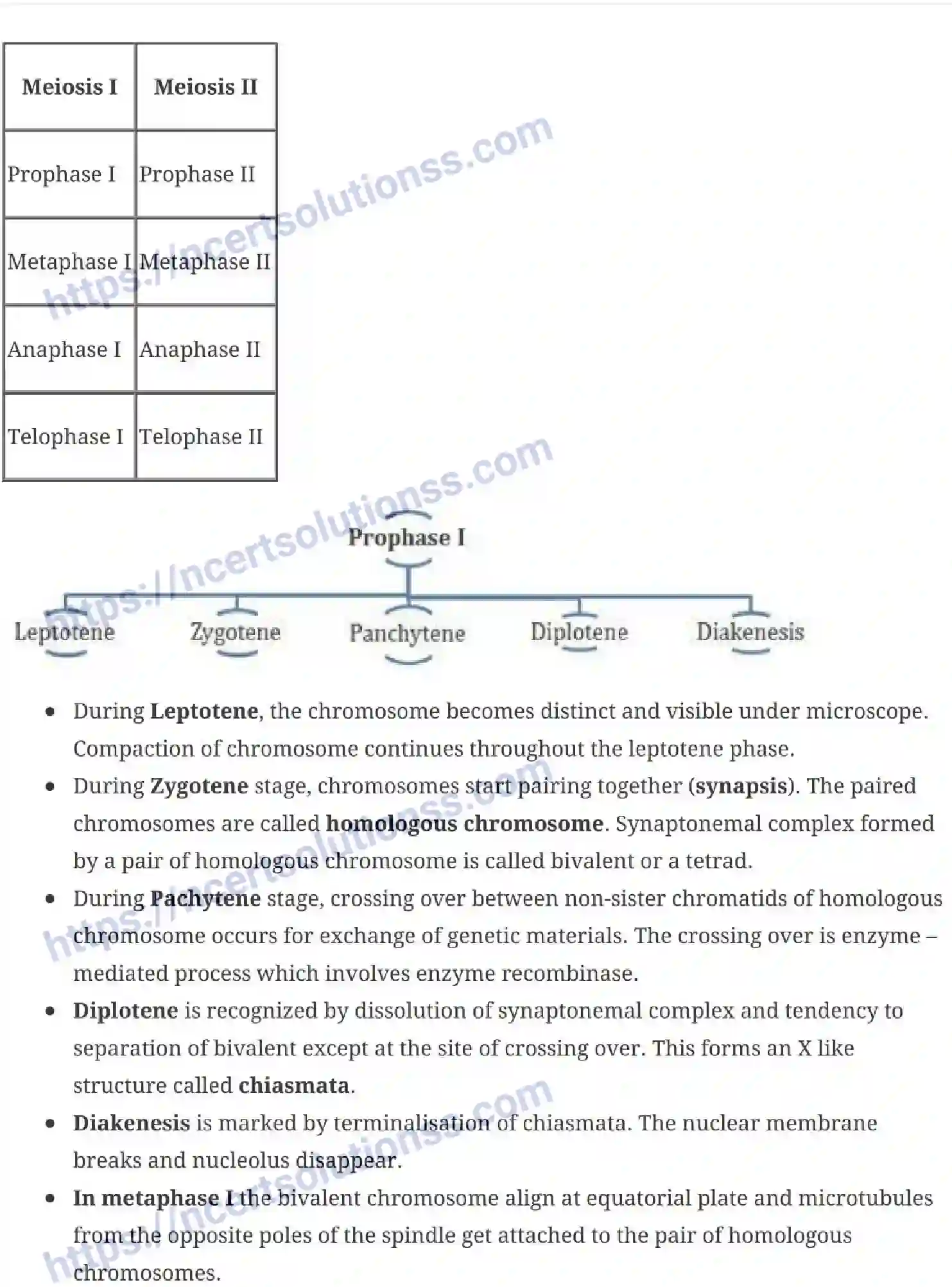 NCERT-Notes-Class-11-Biology-Cell-Cycle-and-Cell-Division-234-page-5