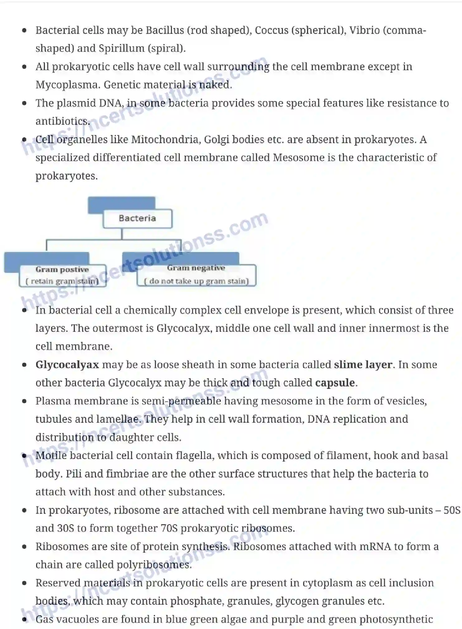 NCERT-Notes-Class-11-Biology-Cell-The-Unit-of-Life-232-page-2