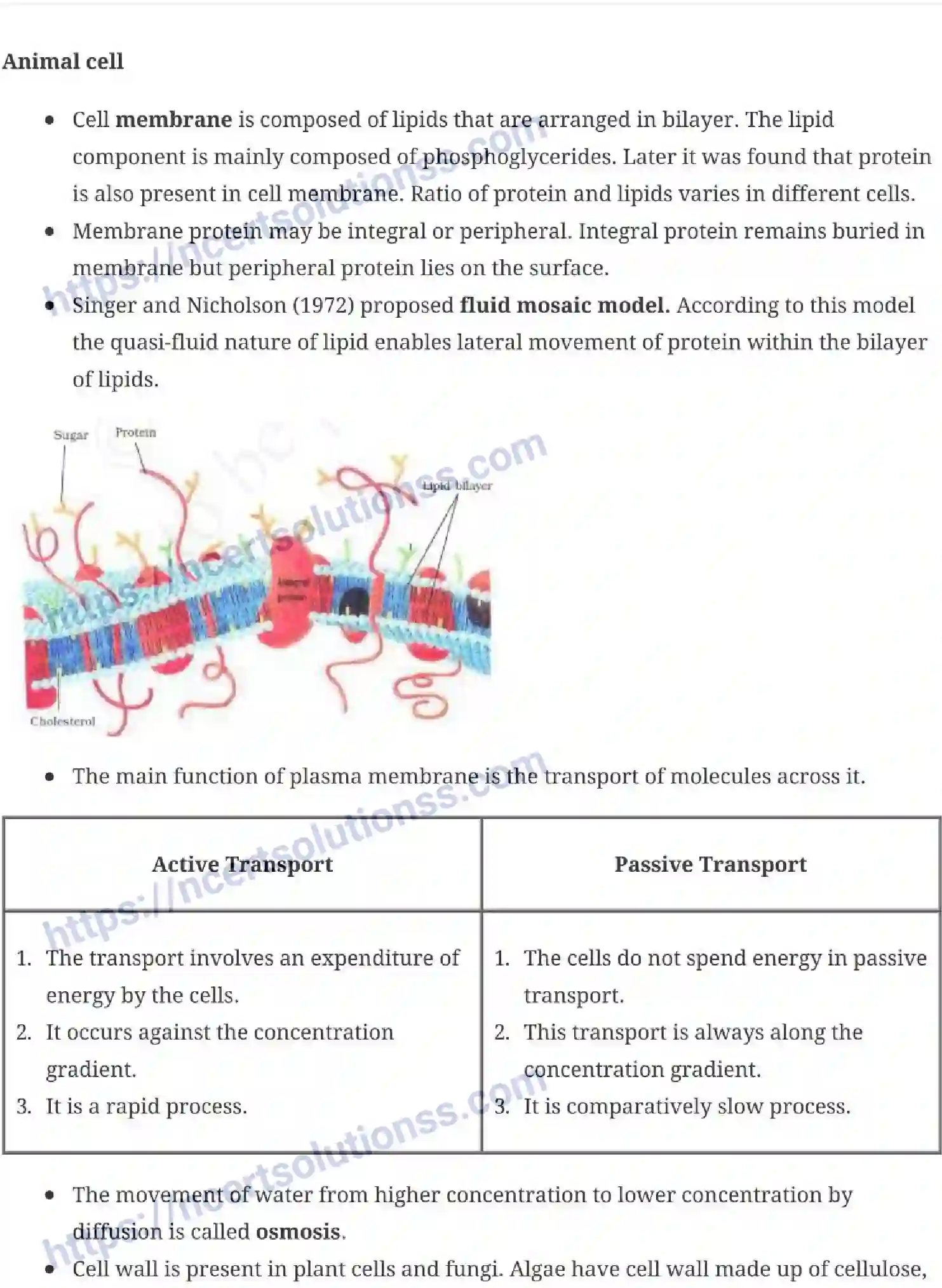 NCERT-Notes-Class-11-Biology-Cell-The-Unit-of-Life-232-page-4