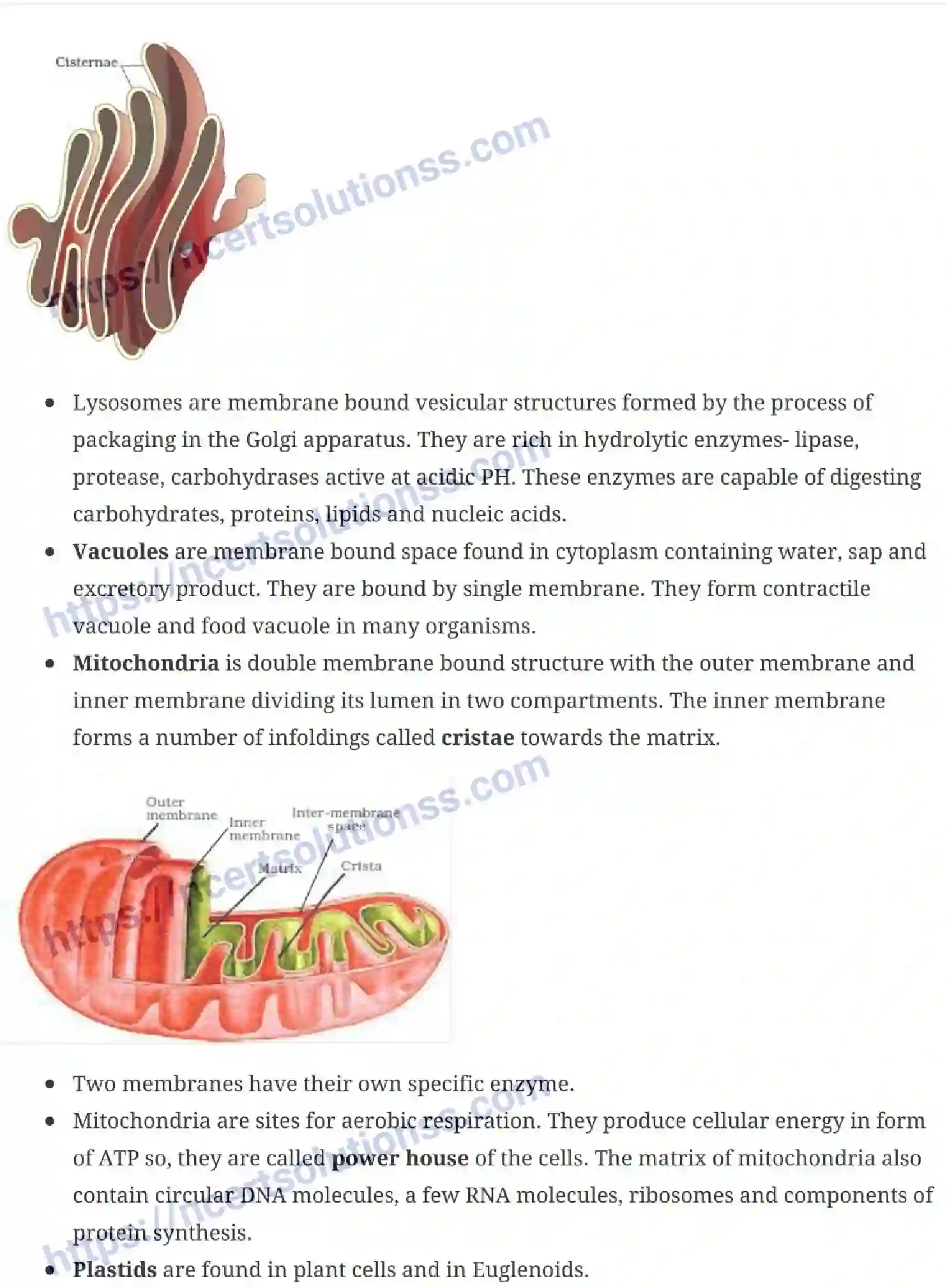 NCERT-Notes-Class-11-Biology-Cell-The-Unit-of-Life-232-page-6