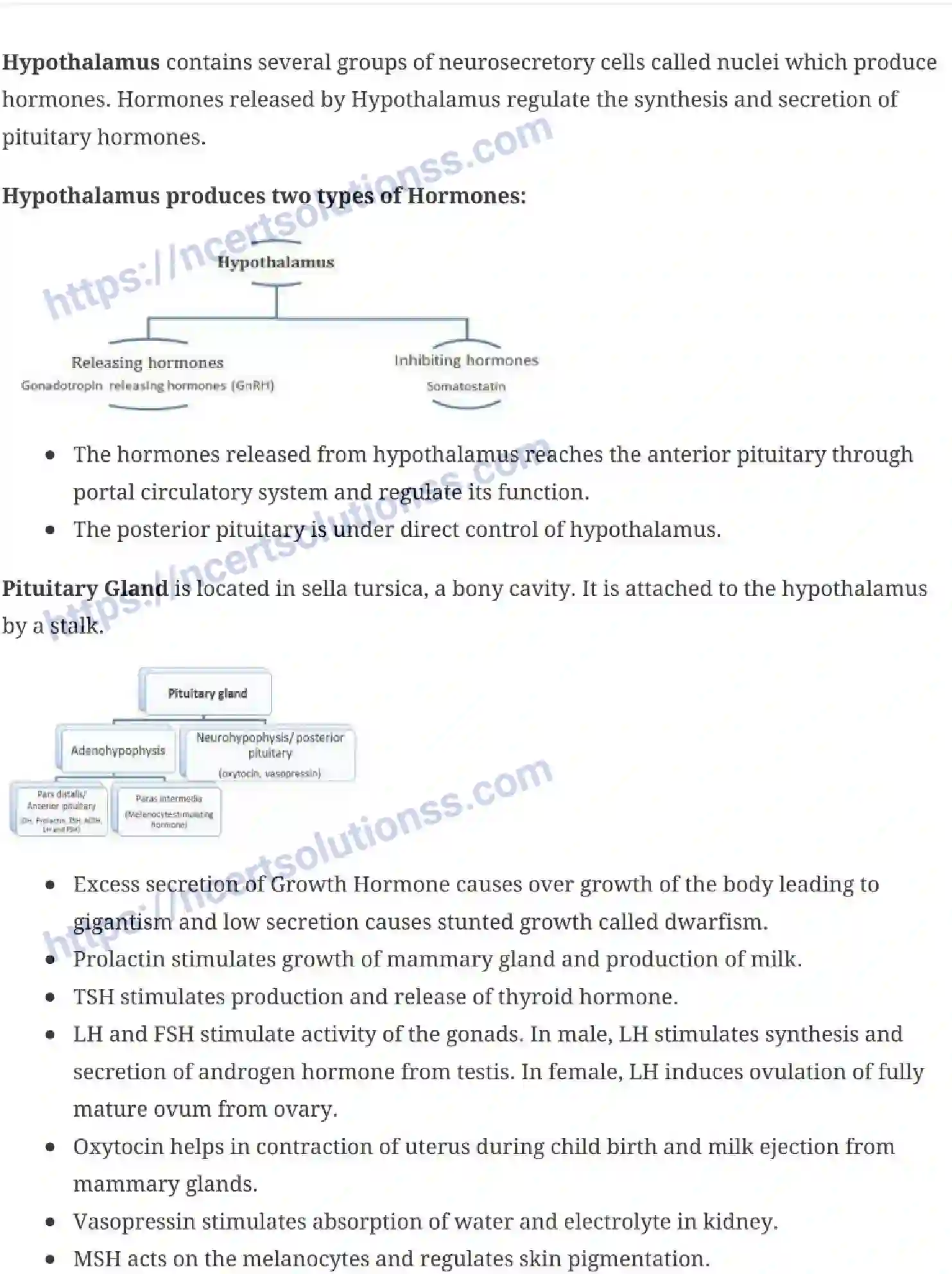 NCERT-Notes-Class-11-Biology-Chemical-Coordination-and-Integration-246-page-2