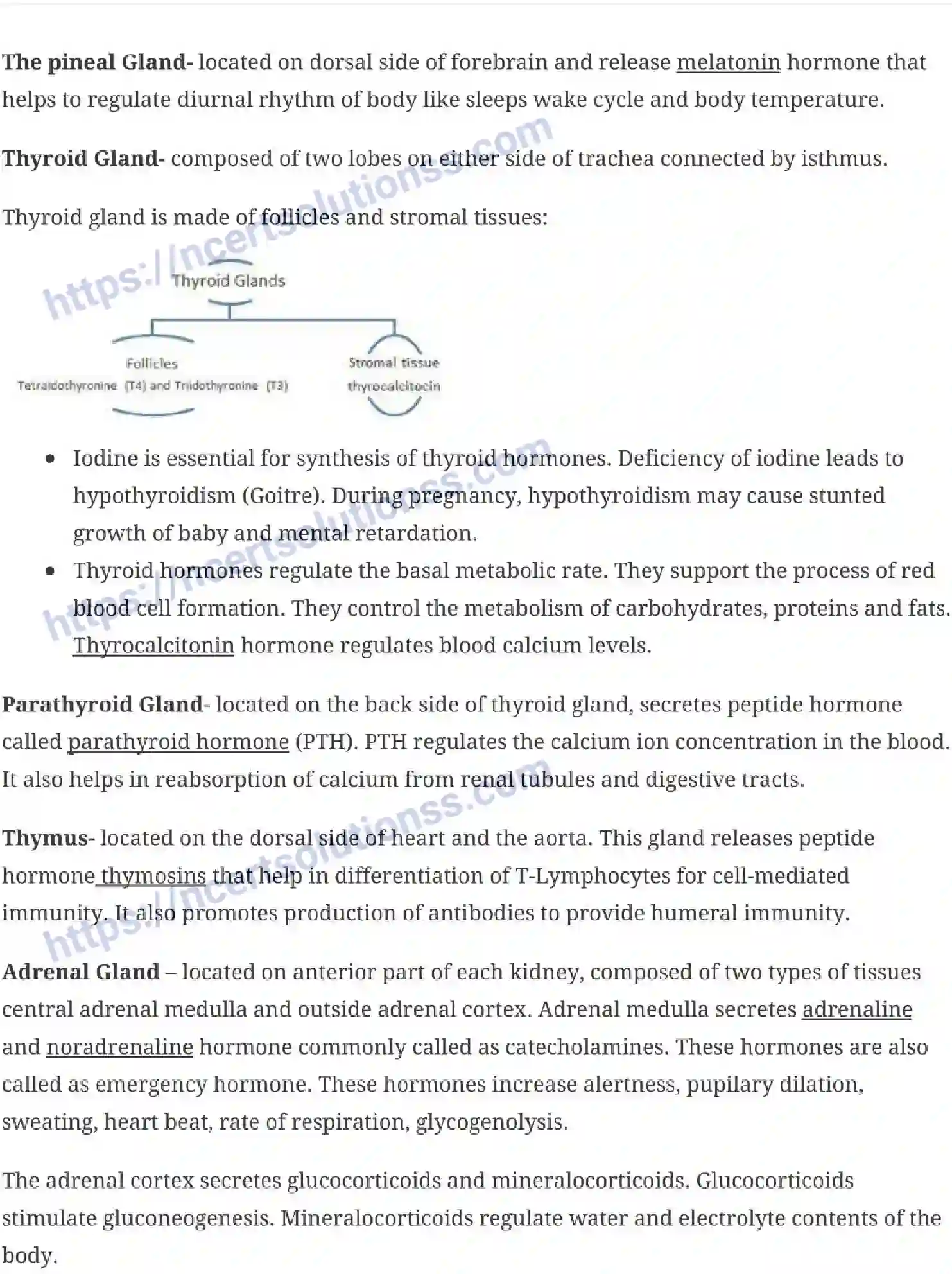 NCERT-Notes-Class-11-Biology-Chemical-Coordination-and-Integration-246-page-3