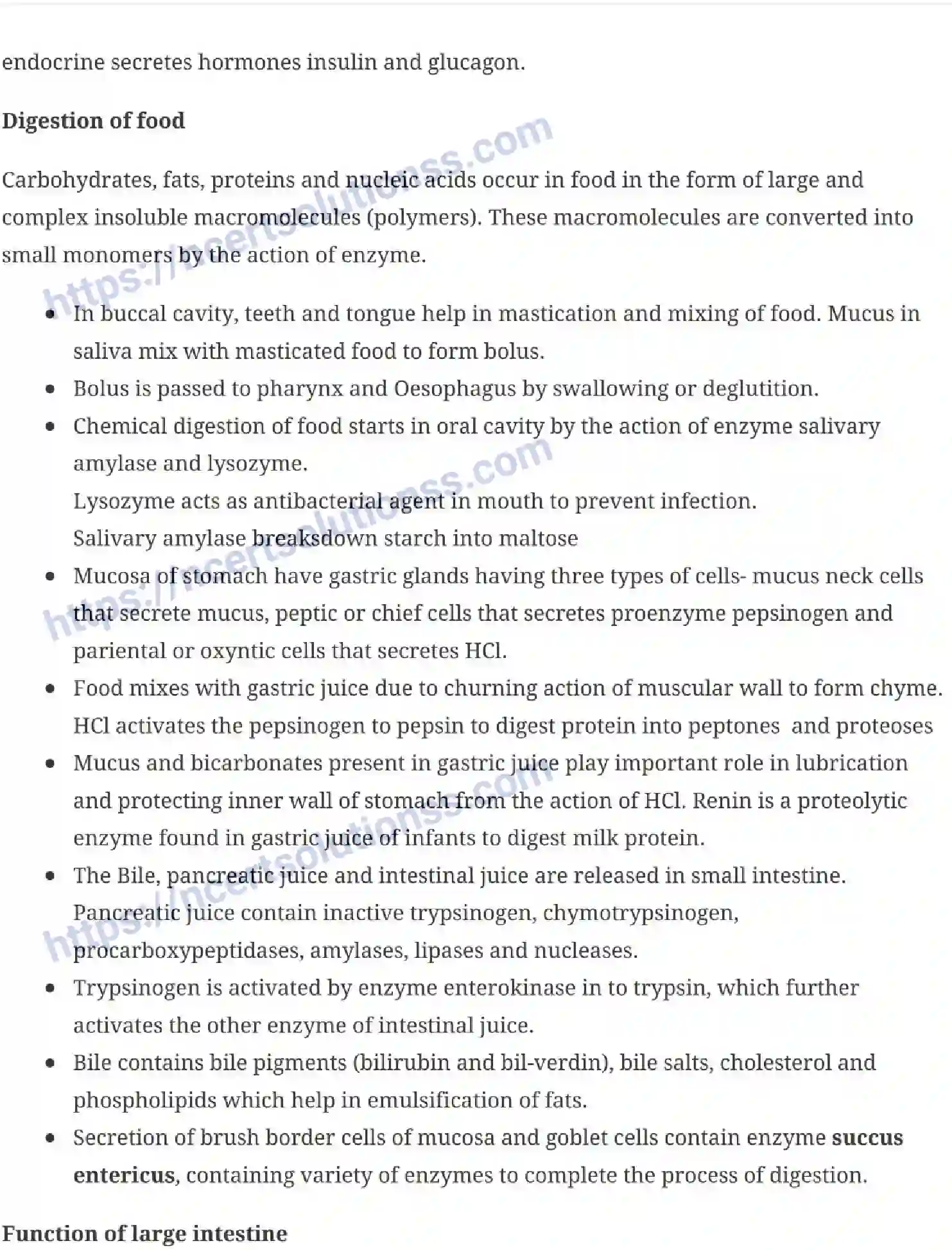 NCERT-Notes-Class-11-Biology-Digestion-and-Absorption-240-page-4
