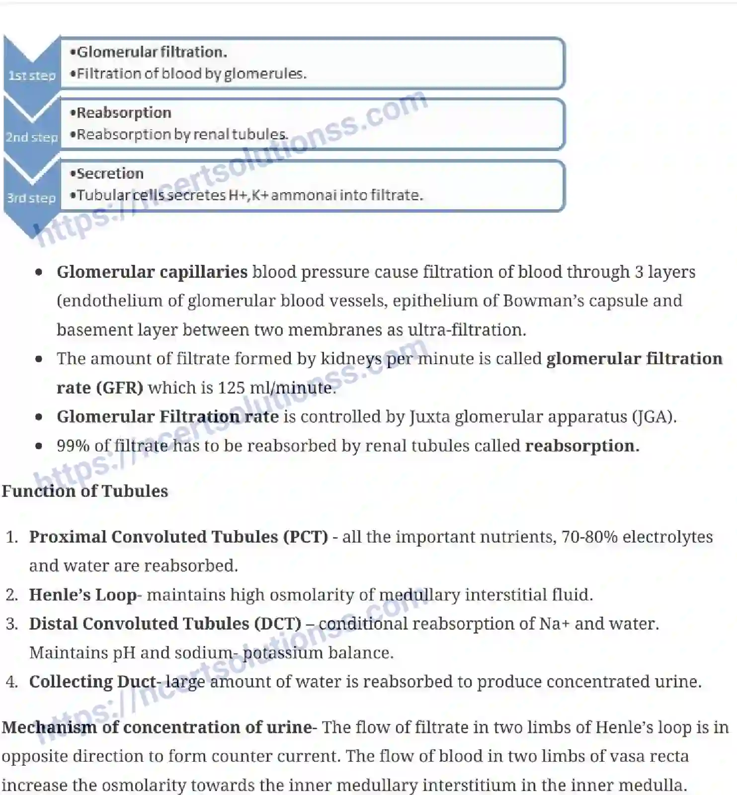 NCERT-Notes-Class-11-Biology-Excretion-Excretory-Products-and-their-Elimination-243-page-4