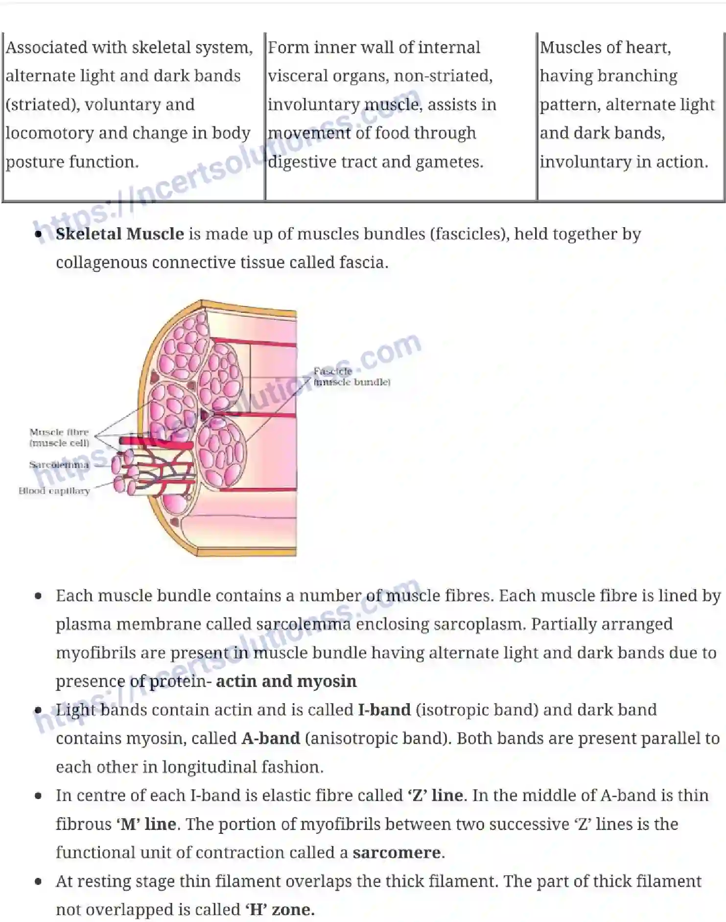 NCERT-Notes-Class-11-Biology-Locomotion-and-Movement-244-page-2