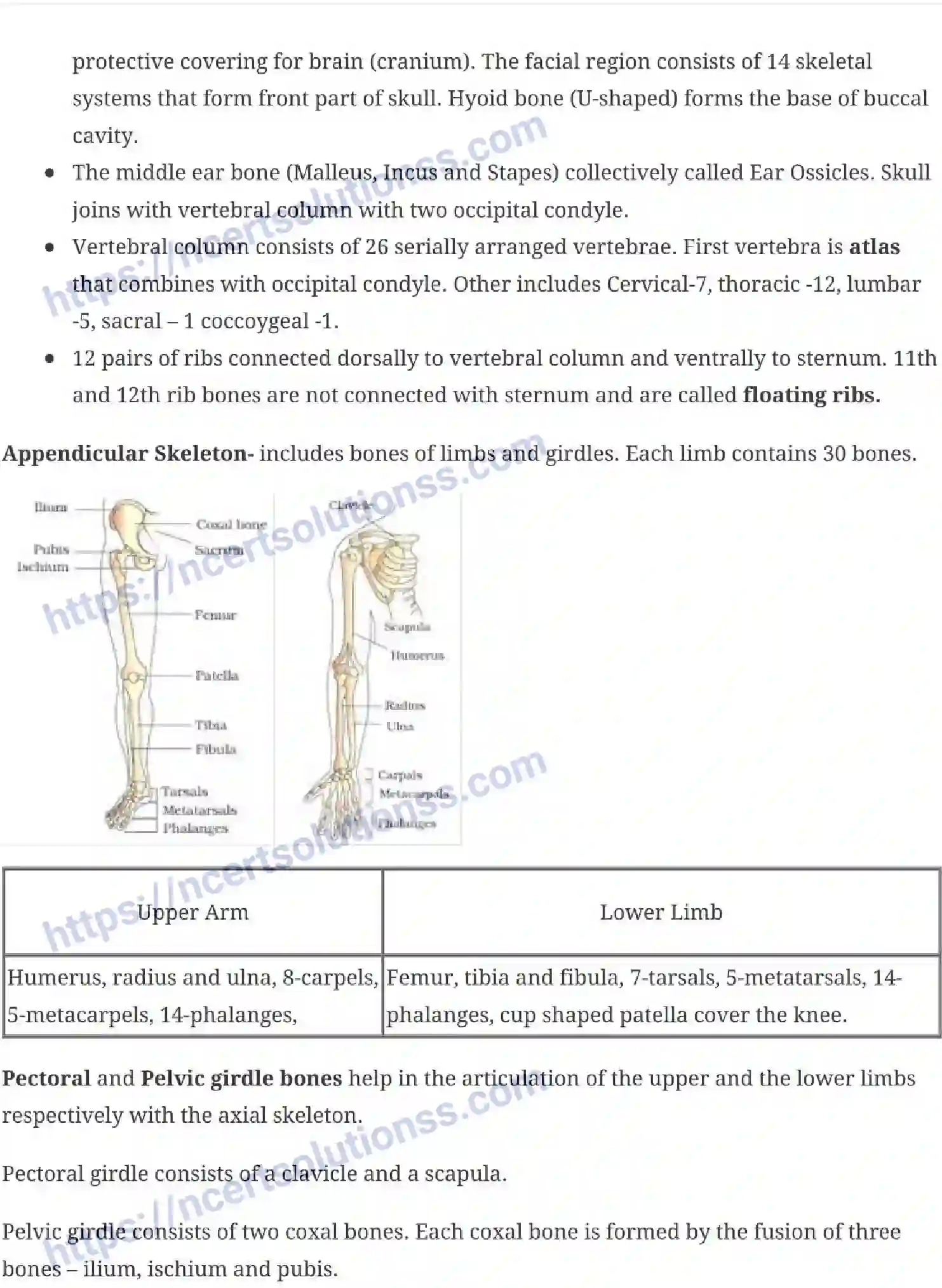 NCERT-Notes-Class-11-Biology-Locomotion-and-Movement-244-page-5