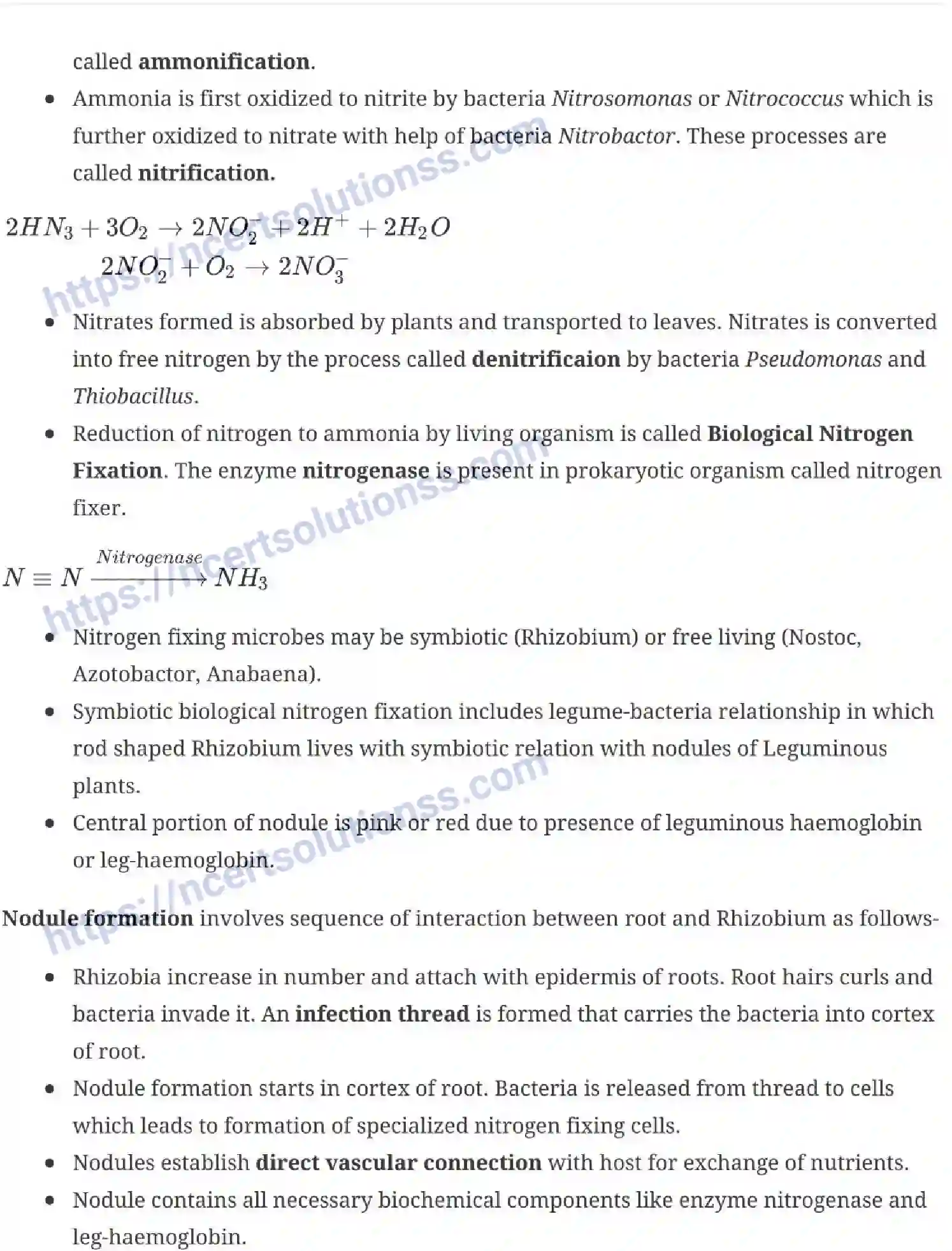 NCERT-Notes-Class-11-Biology-Mineral-Nutrition-236-page-6