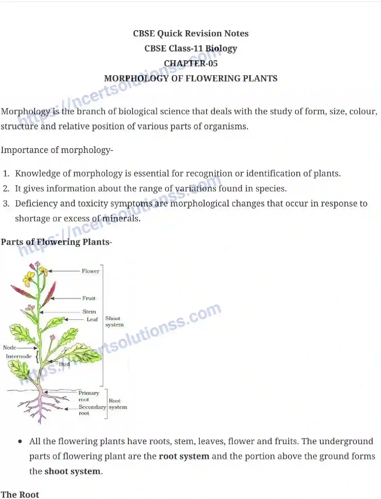 NCERT-Notes-Class-11-Biology-Morphology-Of-Flowering-Plants-229-page-1