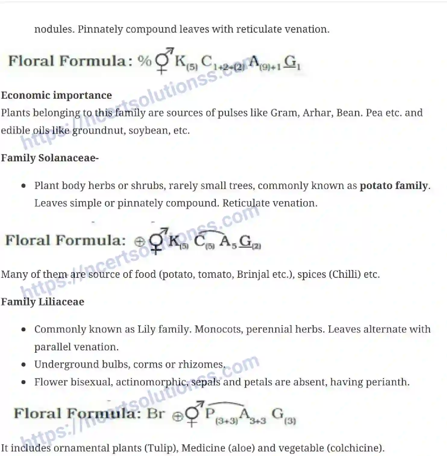 NCERT-Notes-Class-11-Biology-Morphology-Of-Flowering-Plants-229-page-10