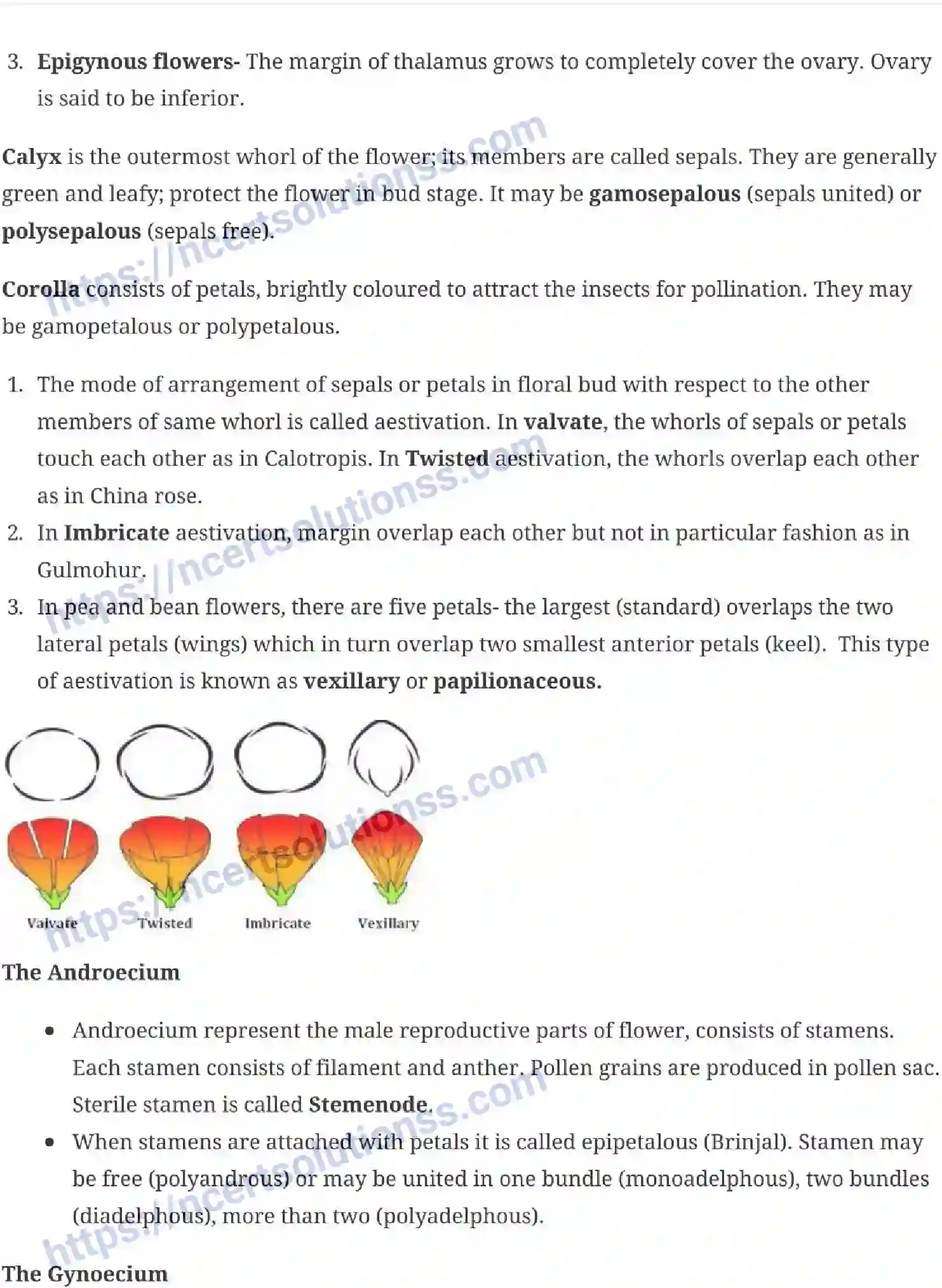 NCERT-Notes-Class-11-Biology-Morphology-Of-Flowering-Plants-229-page-7