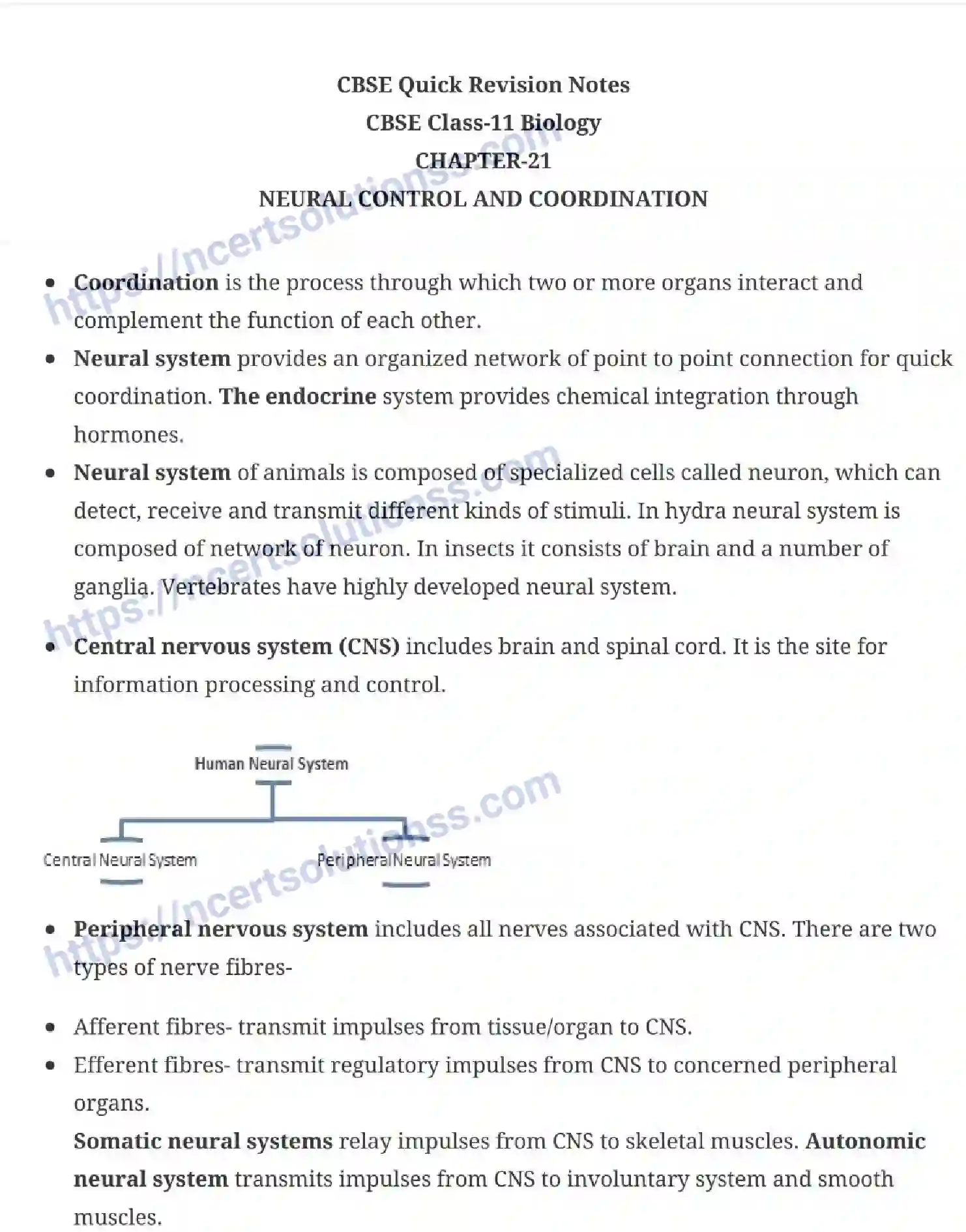 NCERT-Notes-Class-11-Biology-Neural-Control-and-Coordination-245-page-1