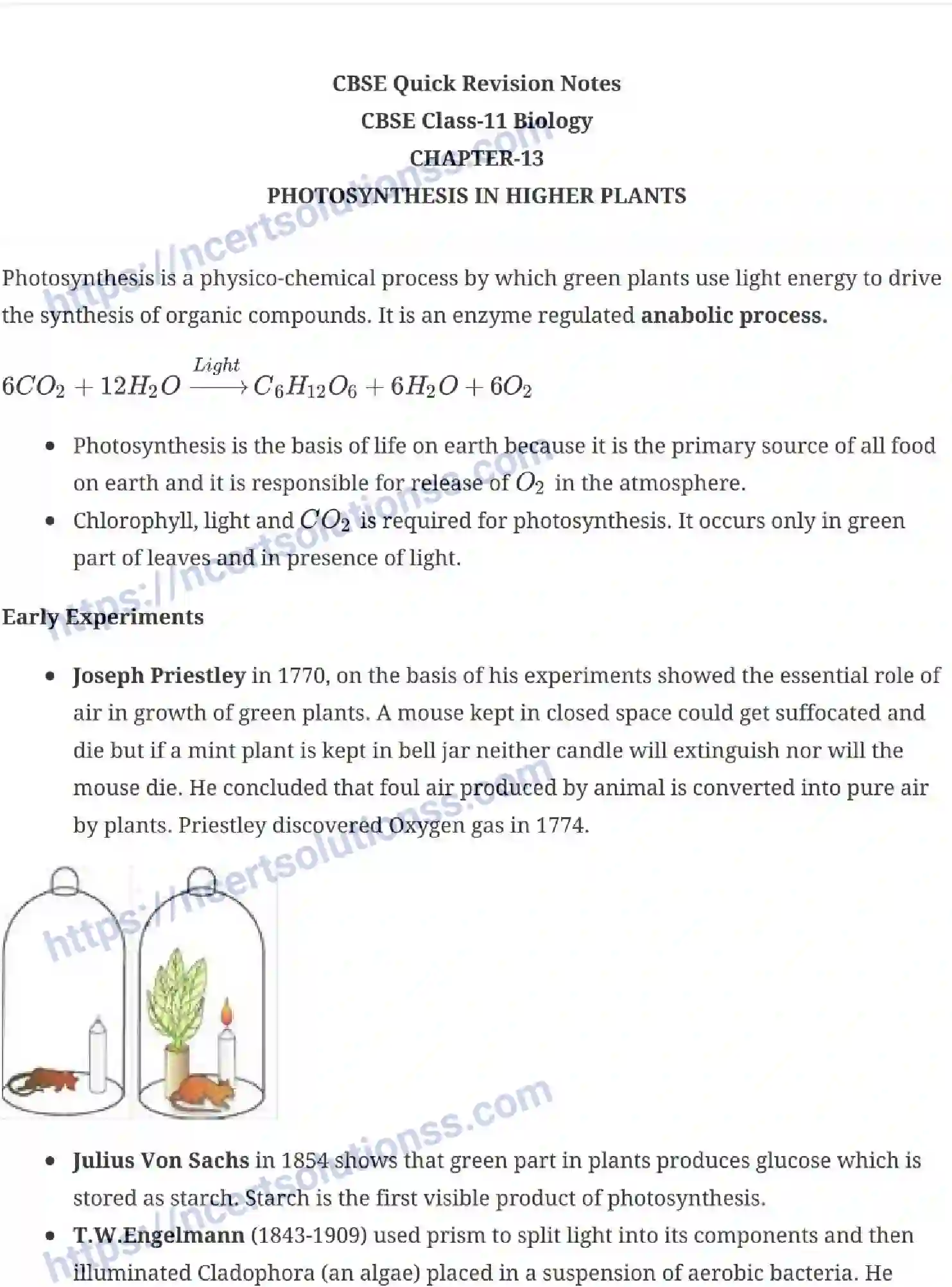 NCERT-Notes-Class-11-Biology-Photosynthesis-in-Higher-Plants-237-page-1