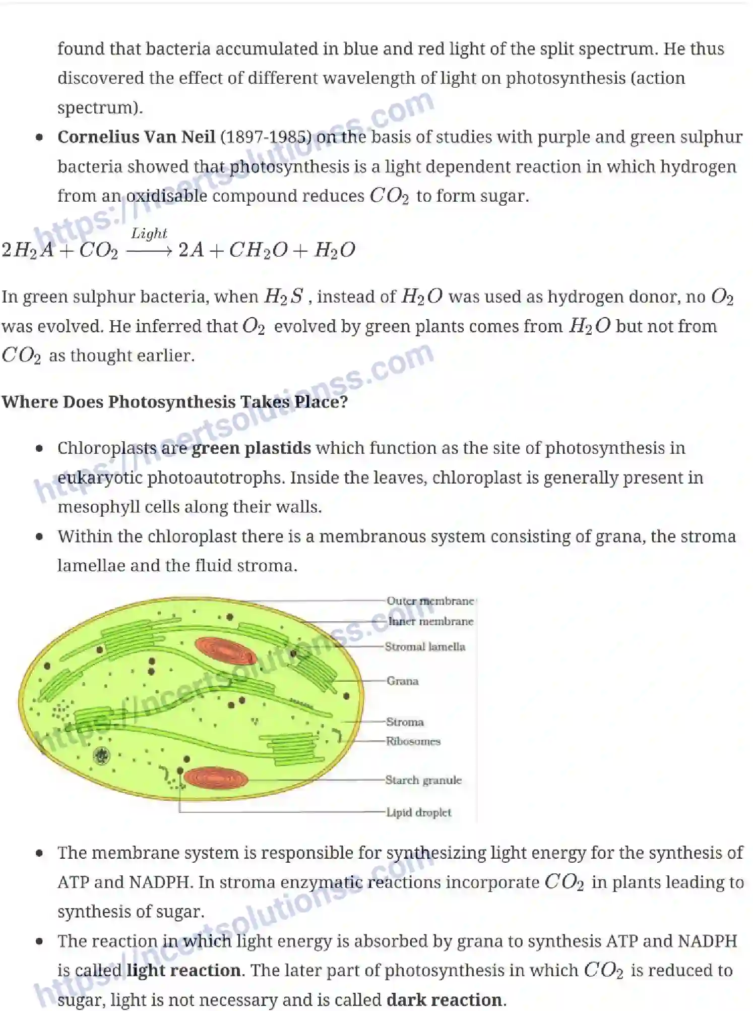 NCERT-Notes-Class-11-Biology-Photosynthesis-in-Higher-Plants-237-page-2