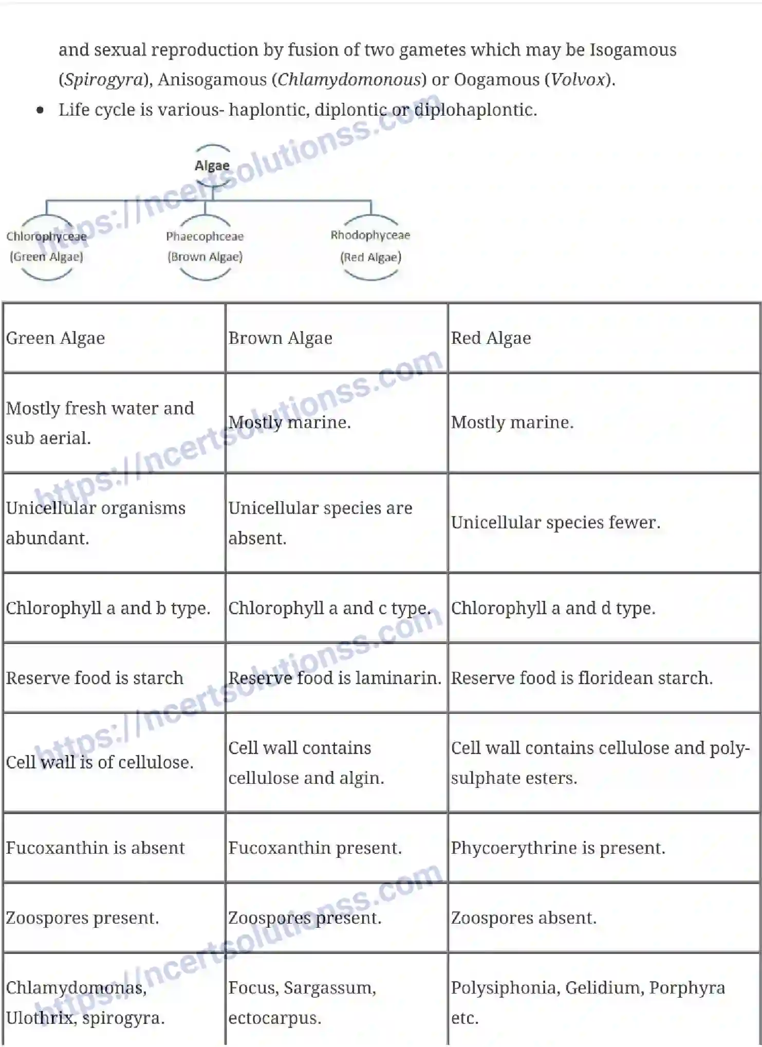 NCERT-Notes-Class-11-Biology-Plant-Kingdom-227-page-2