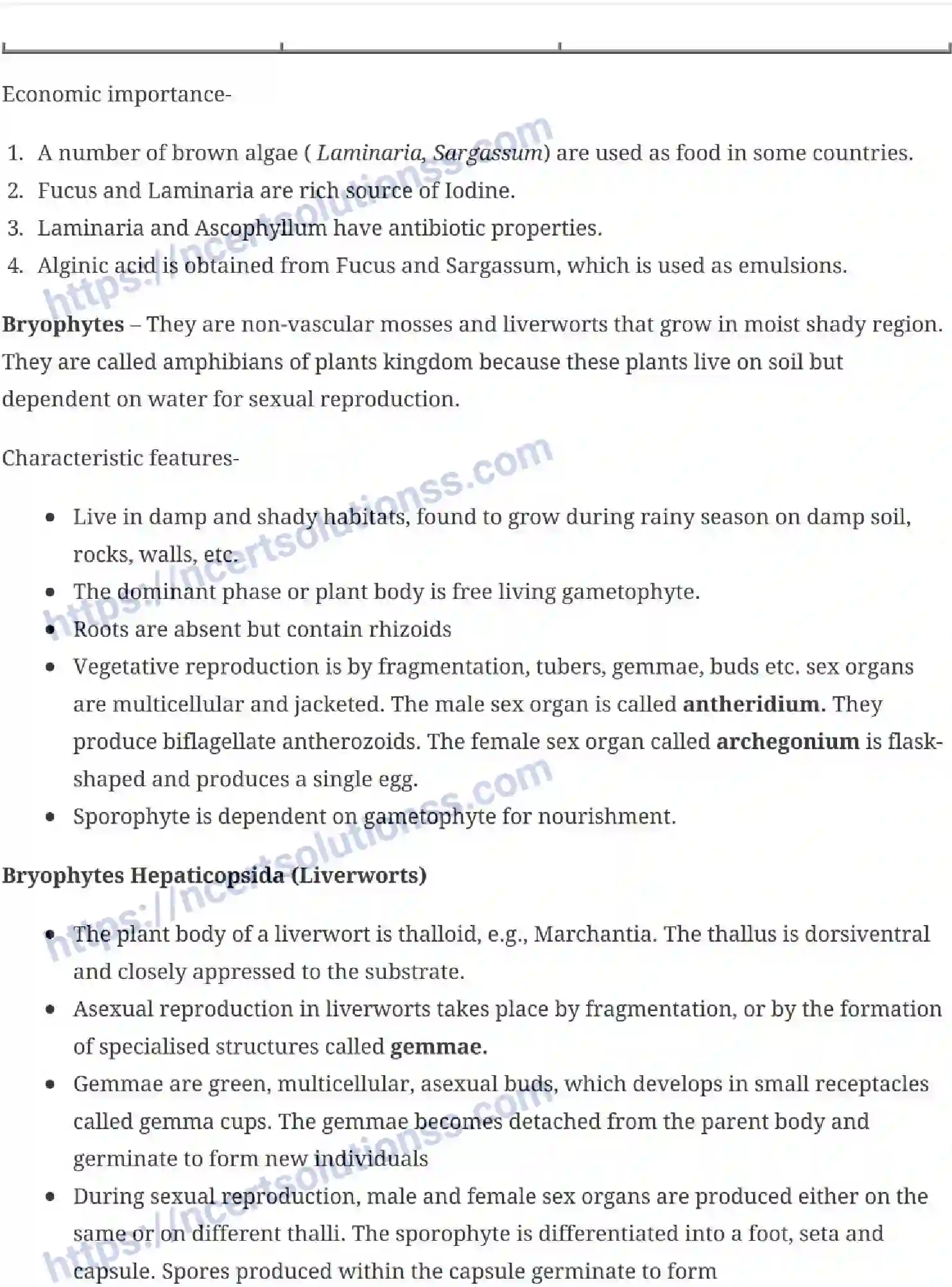 NCERT-Notes-Class-11-Biology-Plant-Kingdom-227-page-3