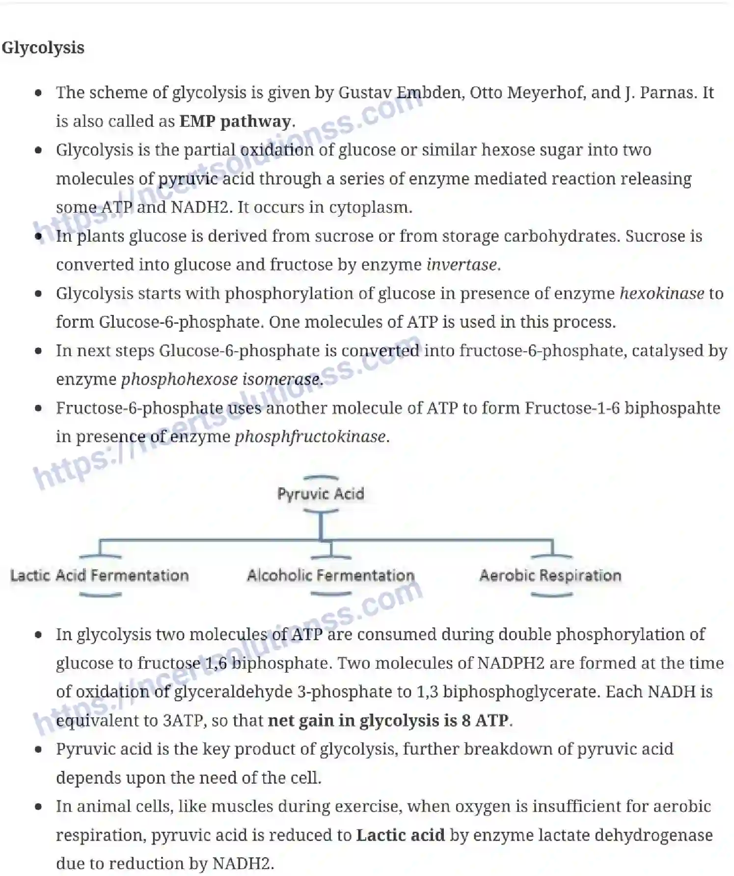 NCERT-Notes-Class-11-Biology-Respiration-In-Plants-238-page-3