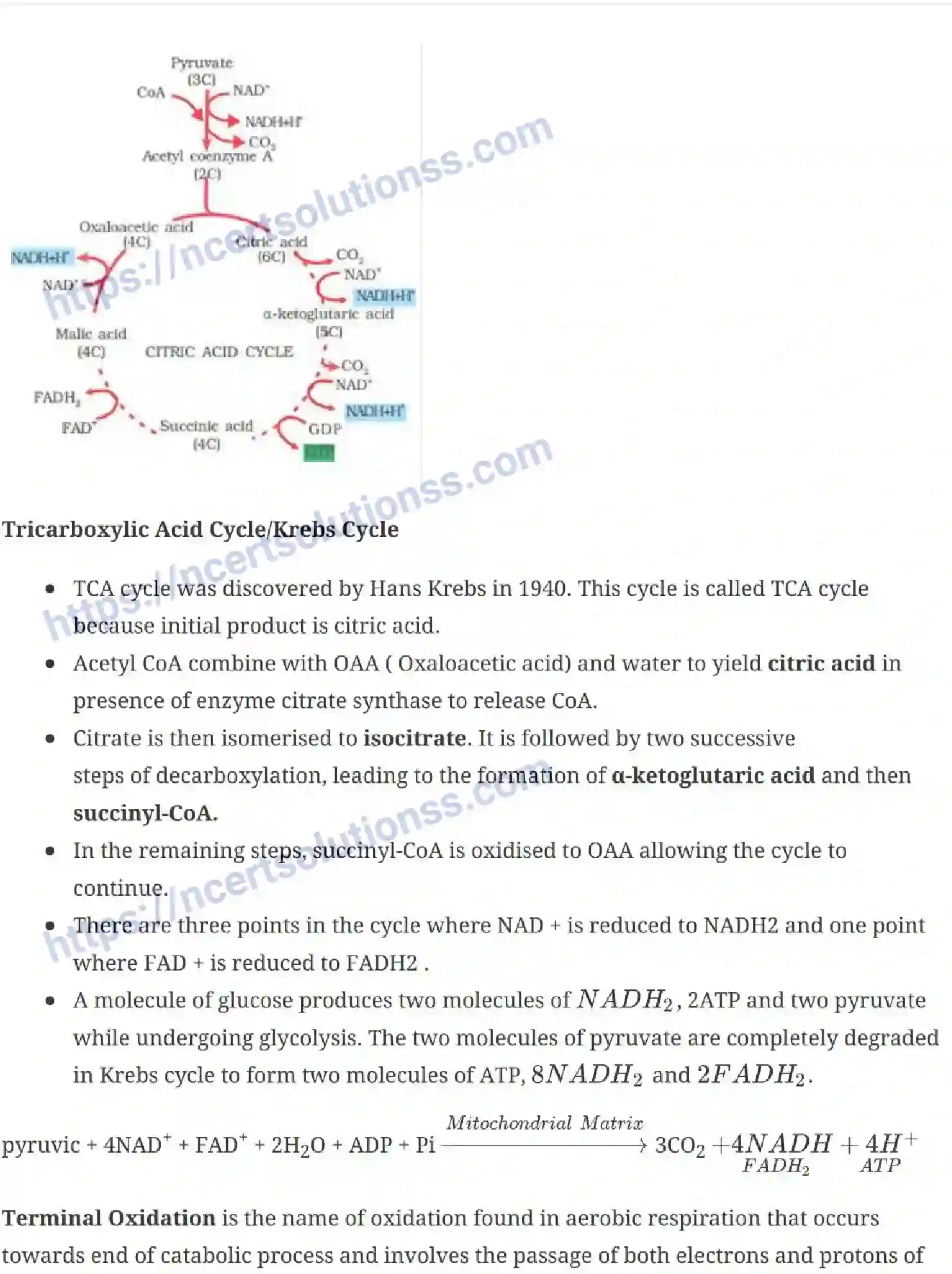 NCERT-Notes-Class-11-Biology-Respiration-In-Plants-238-page-5