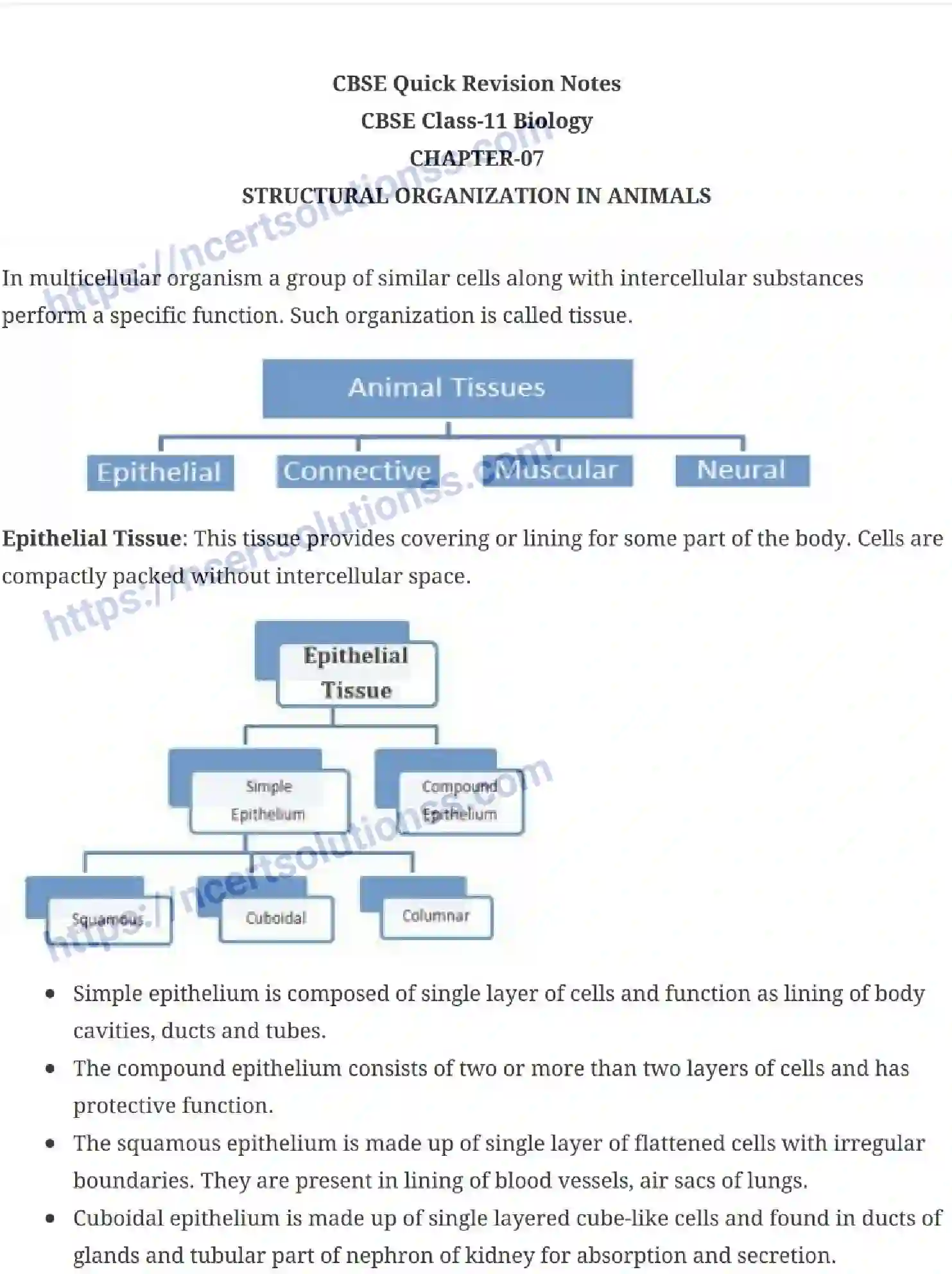 NCERT-Notes-Class-11-Biology-Structural-Organization-in-Animals-231-page-1