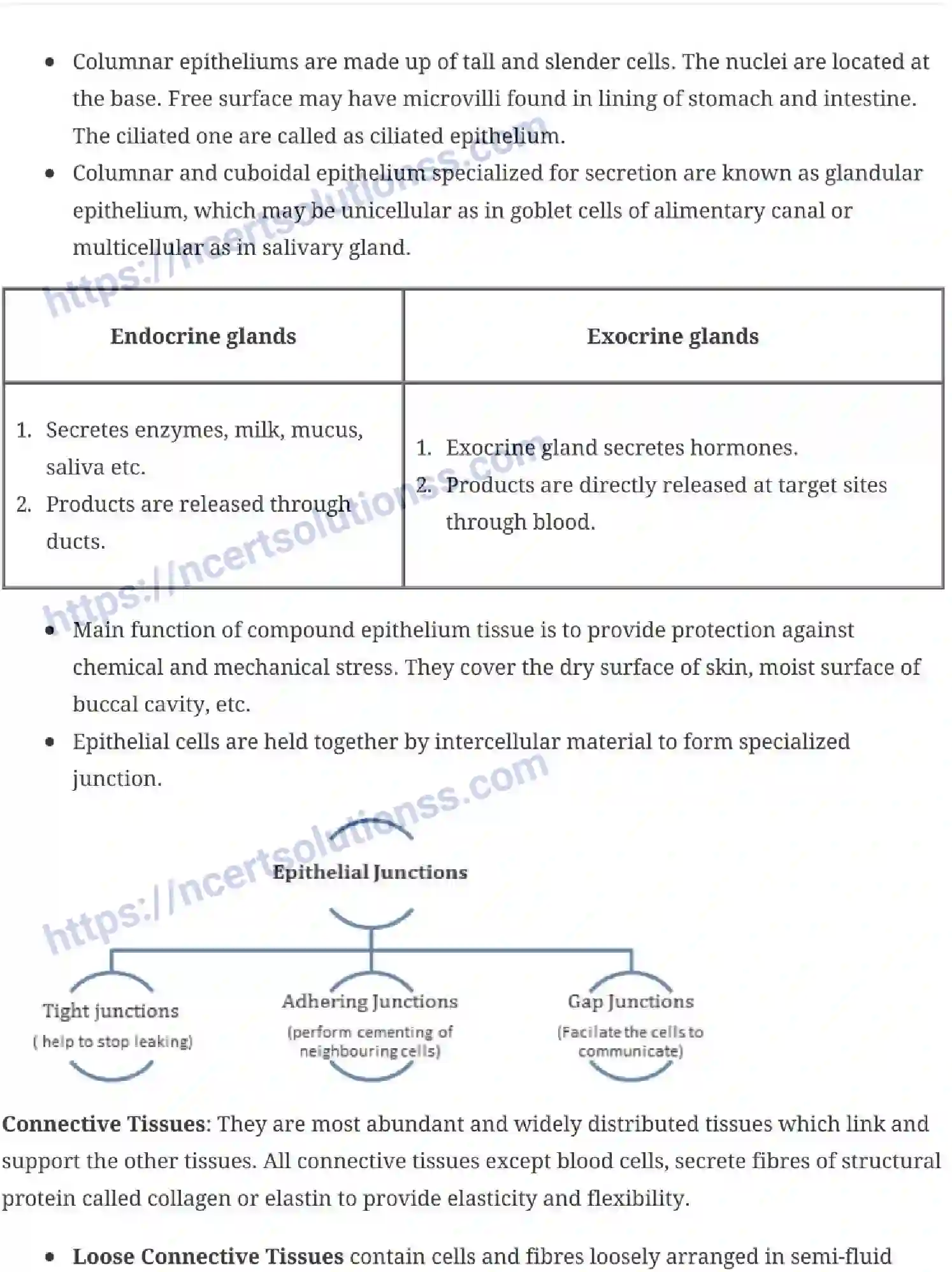 NCERT-Notes-Class-11-Biology-Structural-Organization-in-Animals-231-page-2