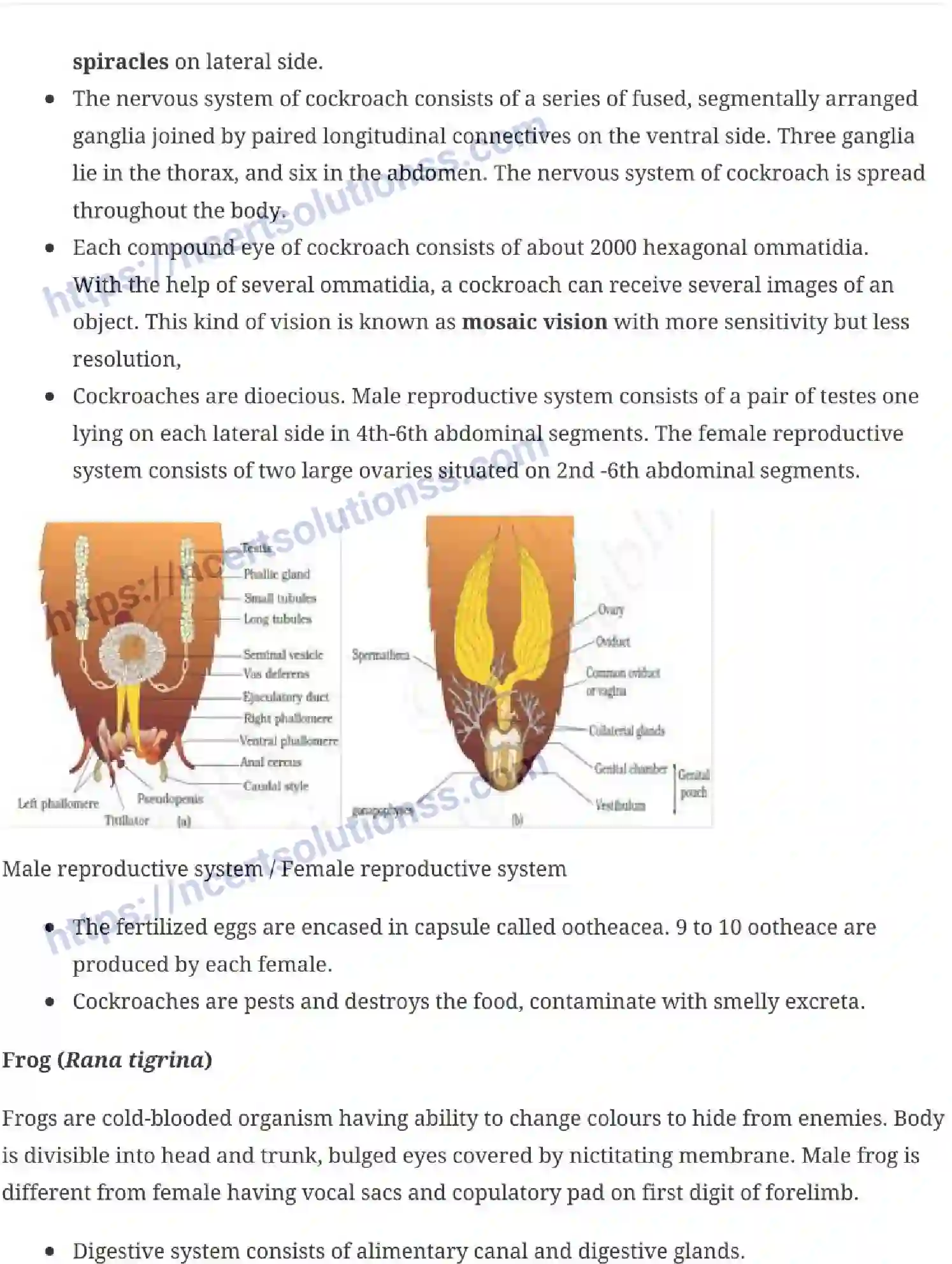 NCERT-Notes-Class-11-Biology-Structural-Organization-in-Animals-231-page-9