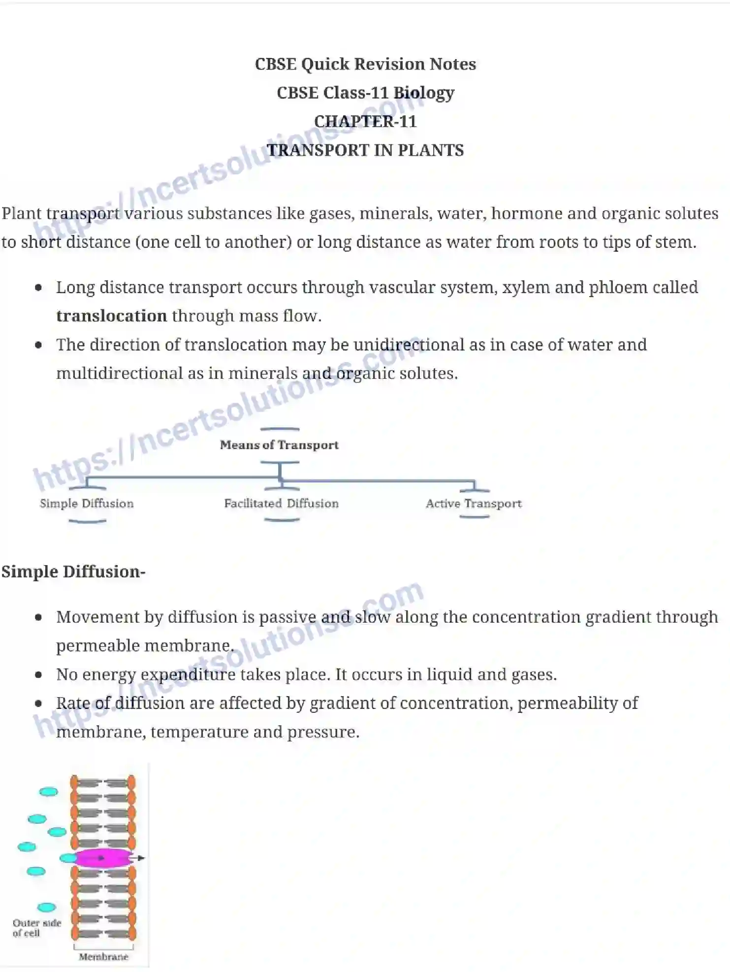 NCERT-Notes-Class-11-Biology-Transportation-in-Plants-235-page-1