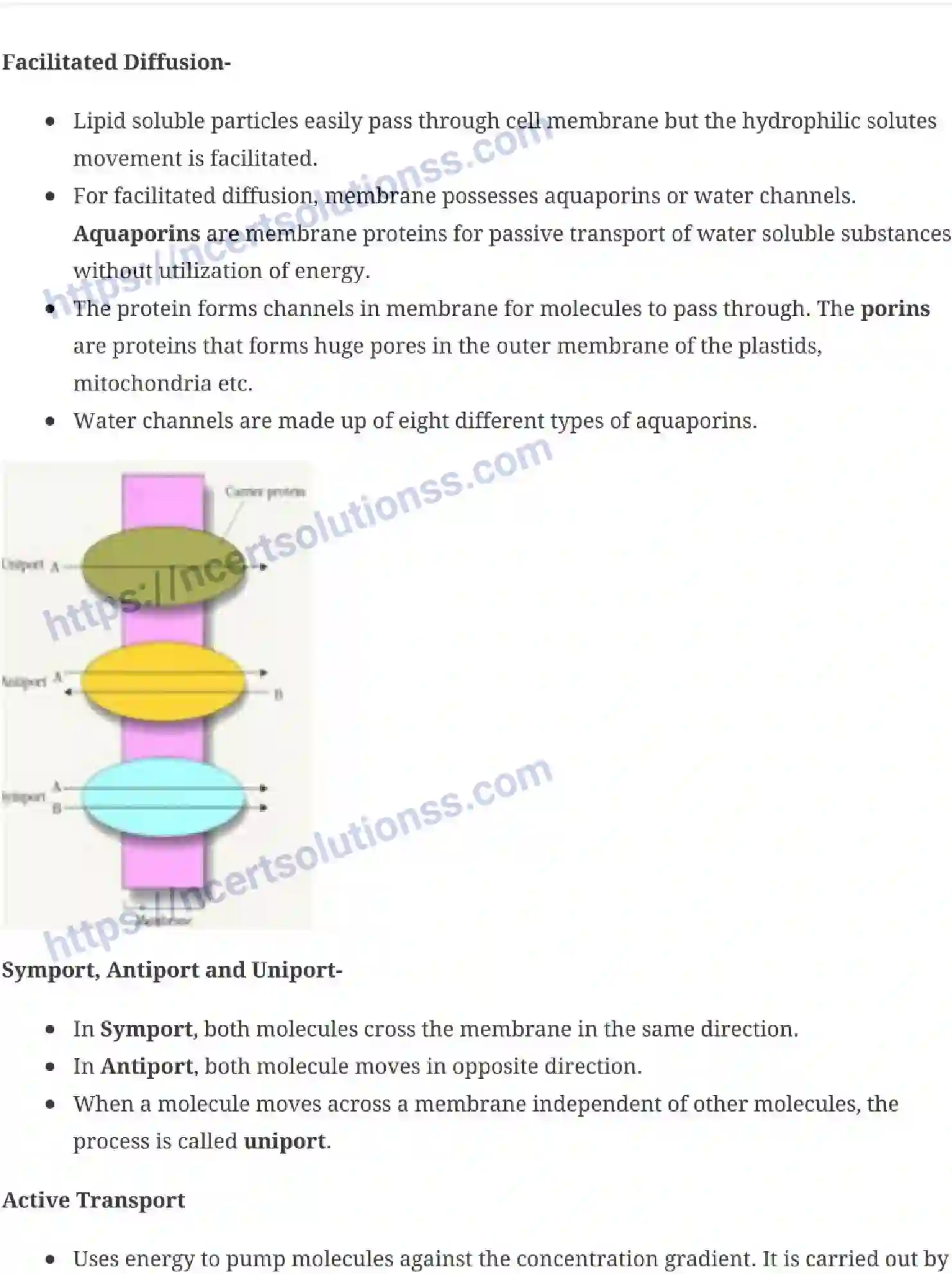NCERT-Notes-Class-11-Biology-Transportation-in-Plants-235-page-2