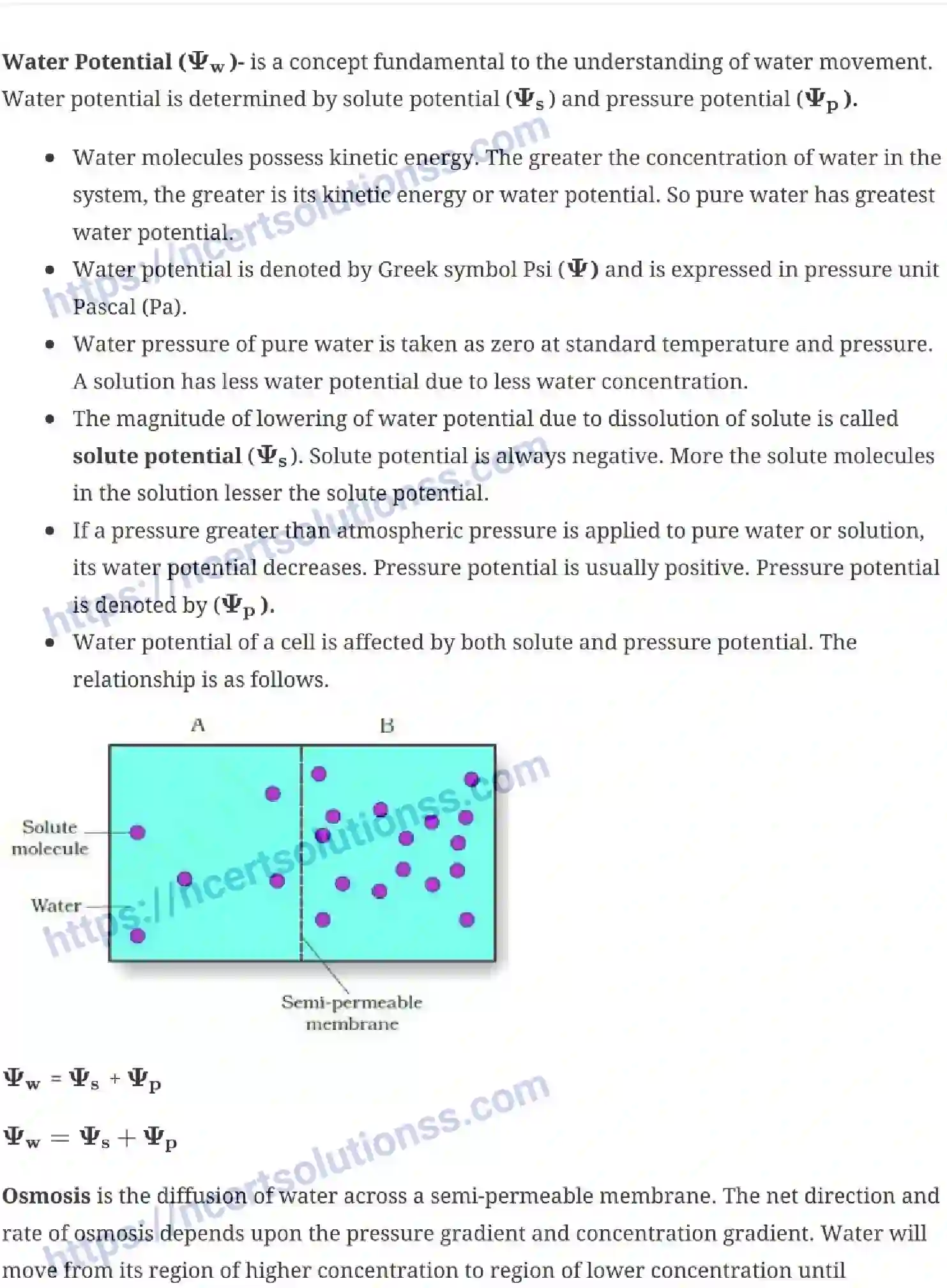 NCERT-Notes-Class-11-Biology-Transportation-in-Plants-235-page-4