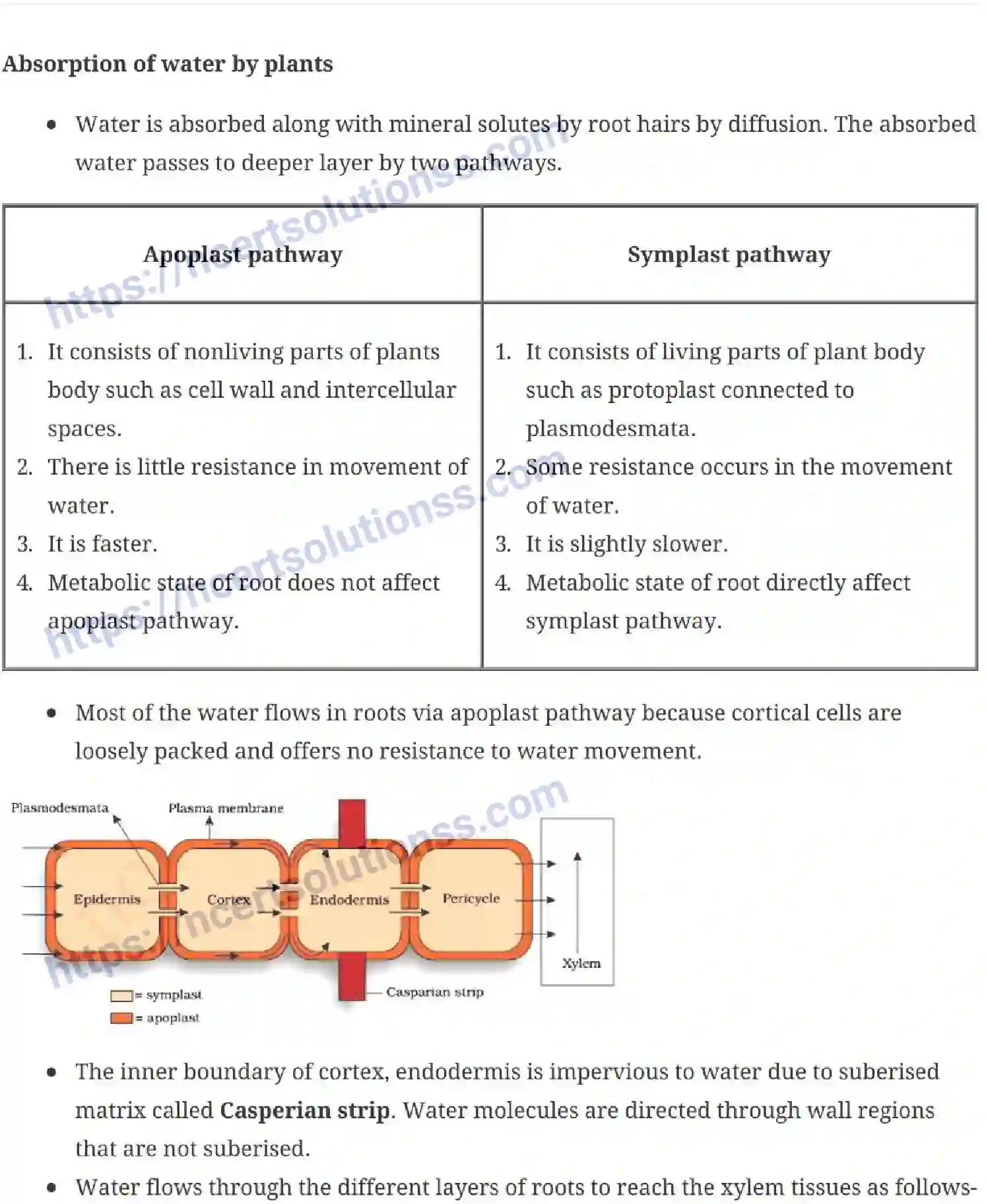 NCERT-Notes-Class-11-Biology-Transportation-in-Plants-235-page-6