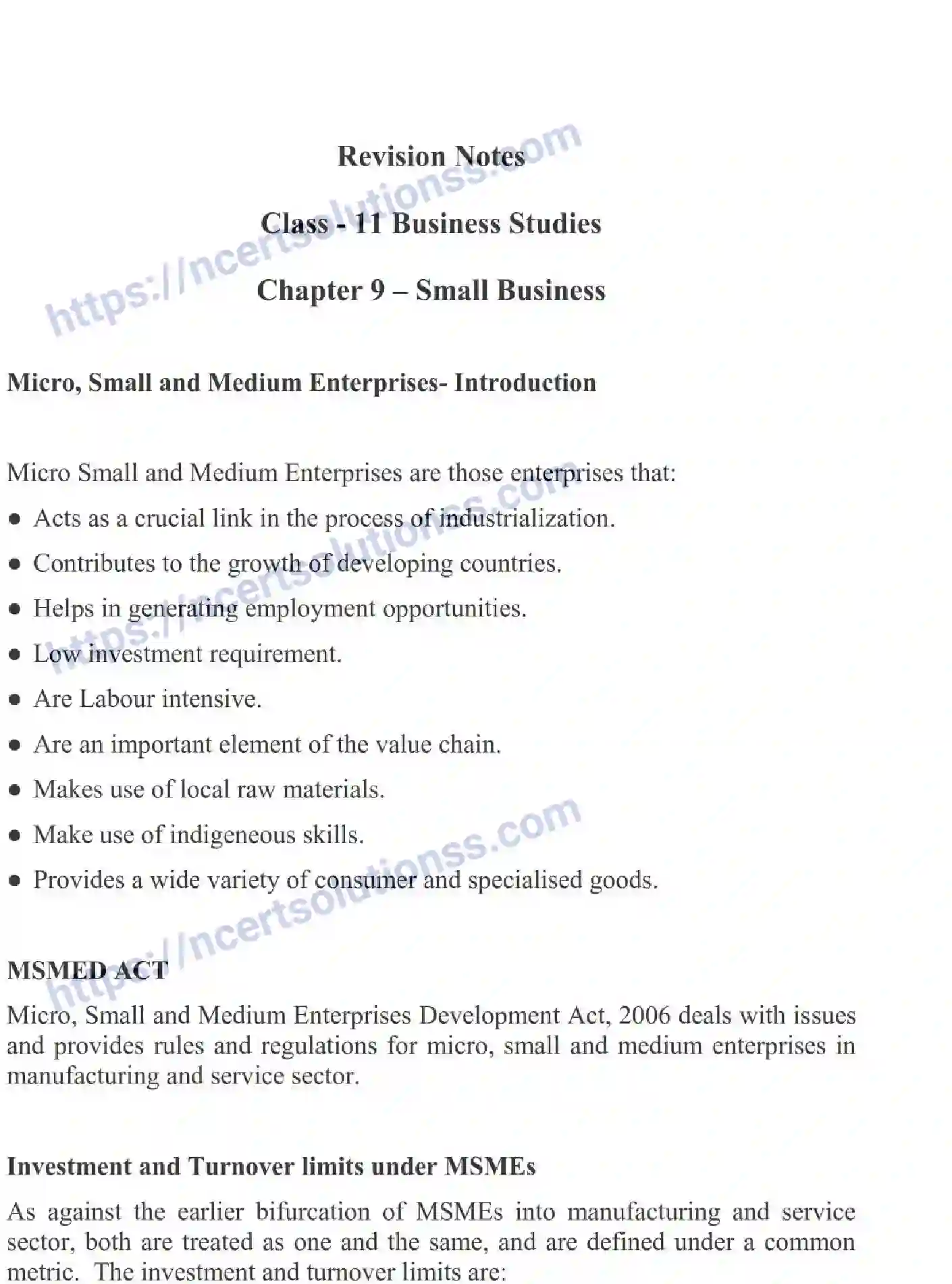 NCERT-Notes-Class-11-Business-Studies-Small-Business-345-page-1