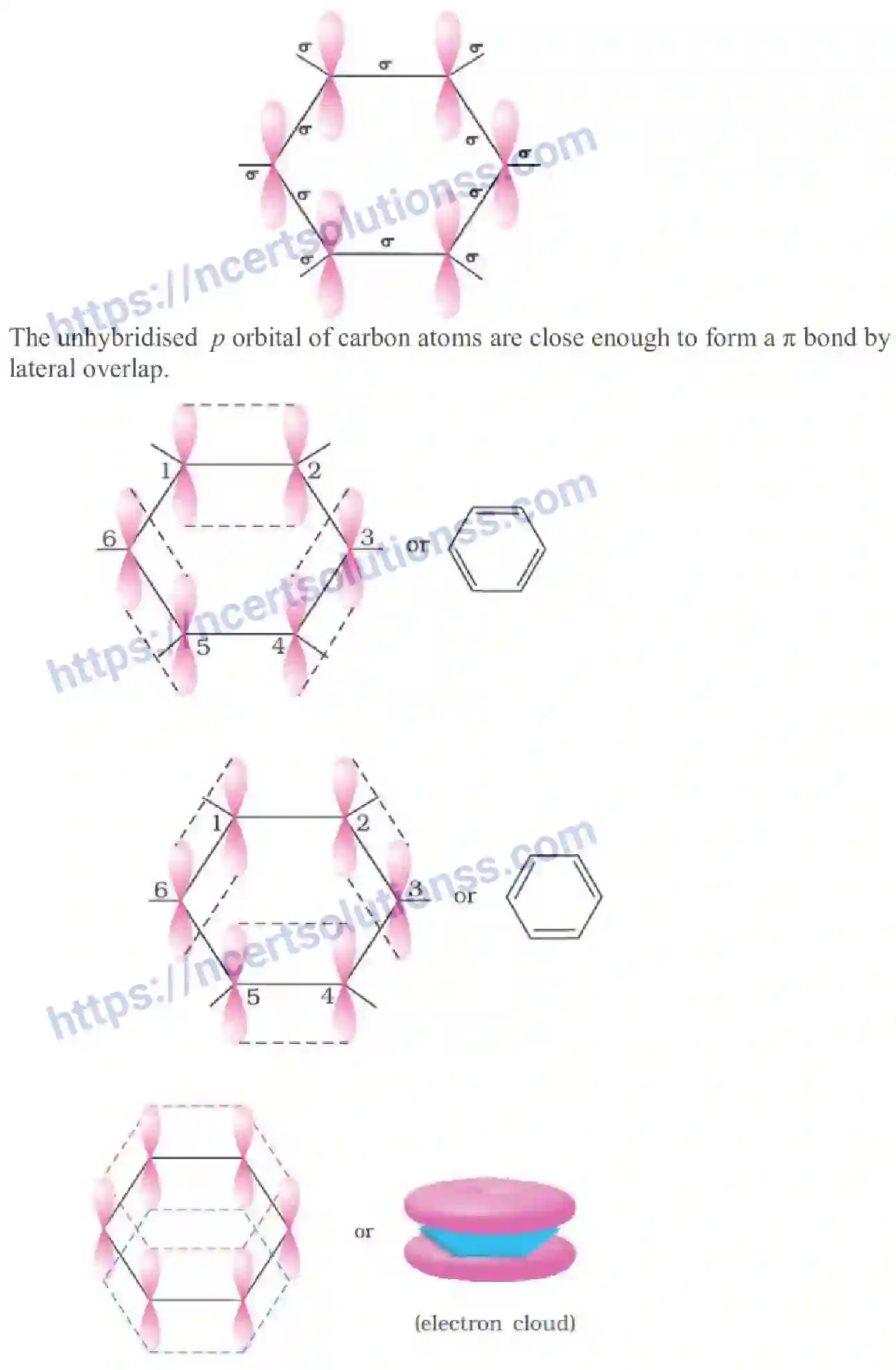 NCERT-Notes-Class-11-Chemistry-Hydrocarbons-259-page-14