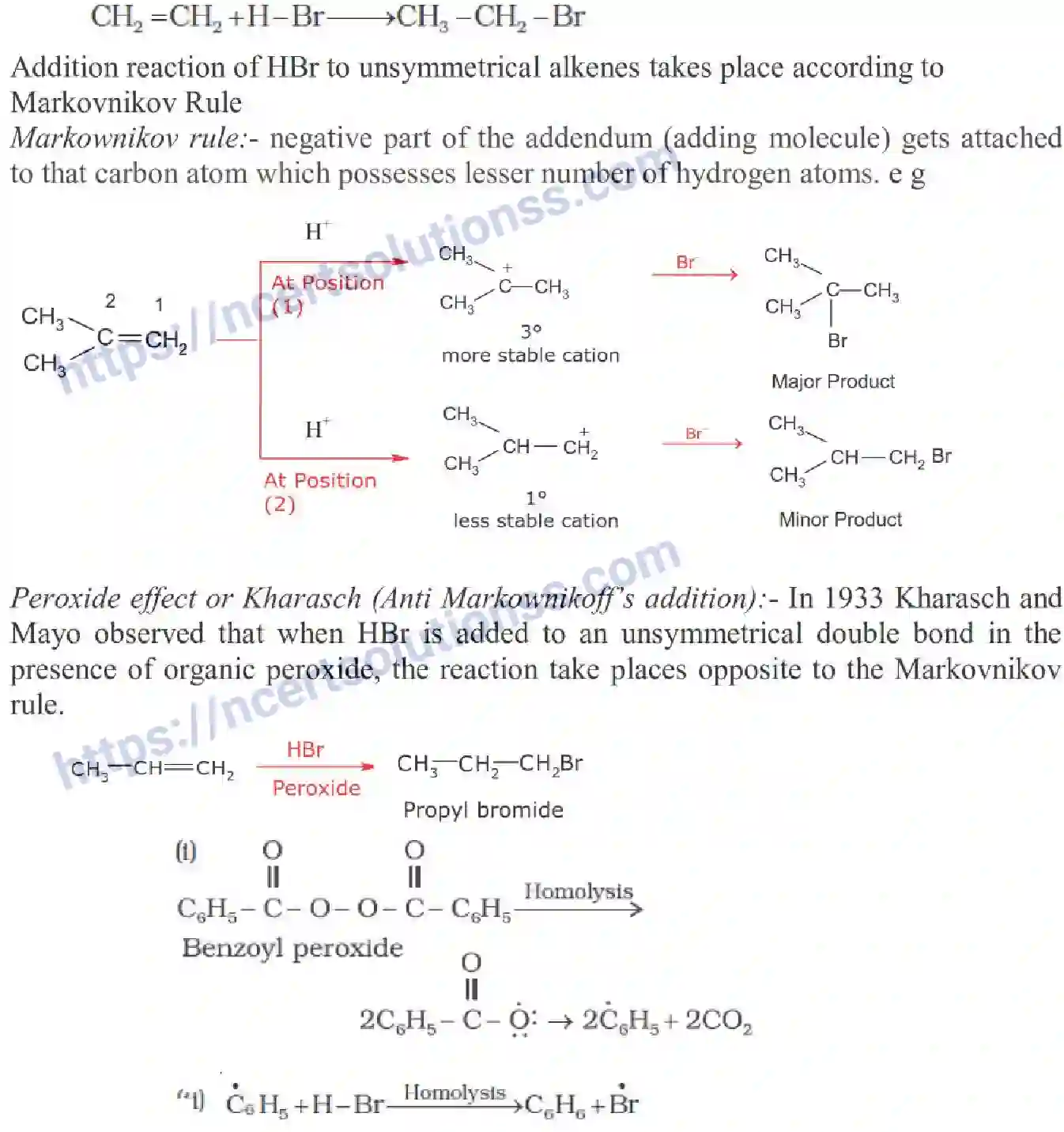 NCERT-Notes-Class-11-Chemistry-Hydrocarbons-259-page-9