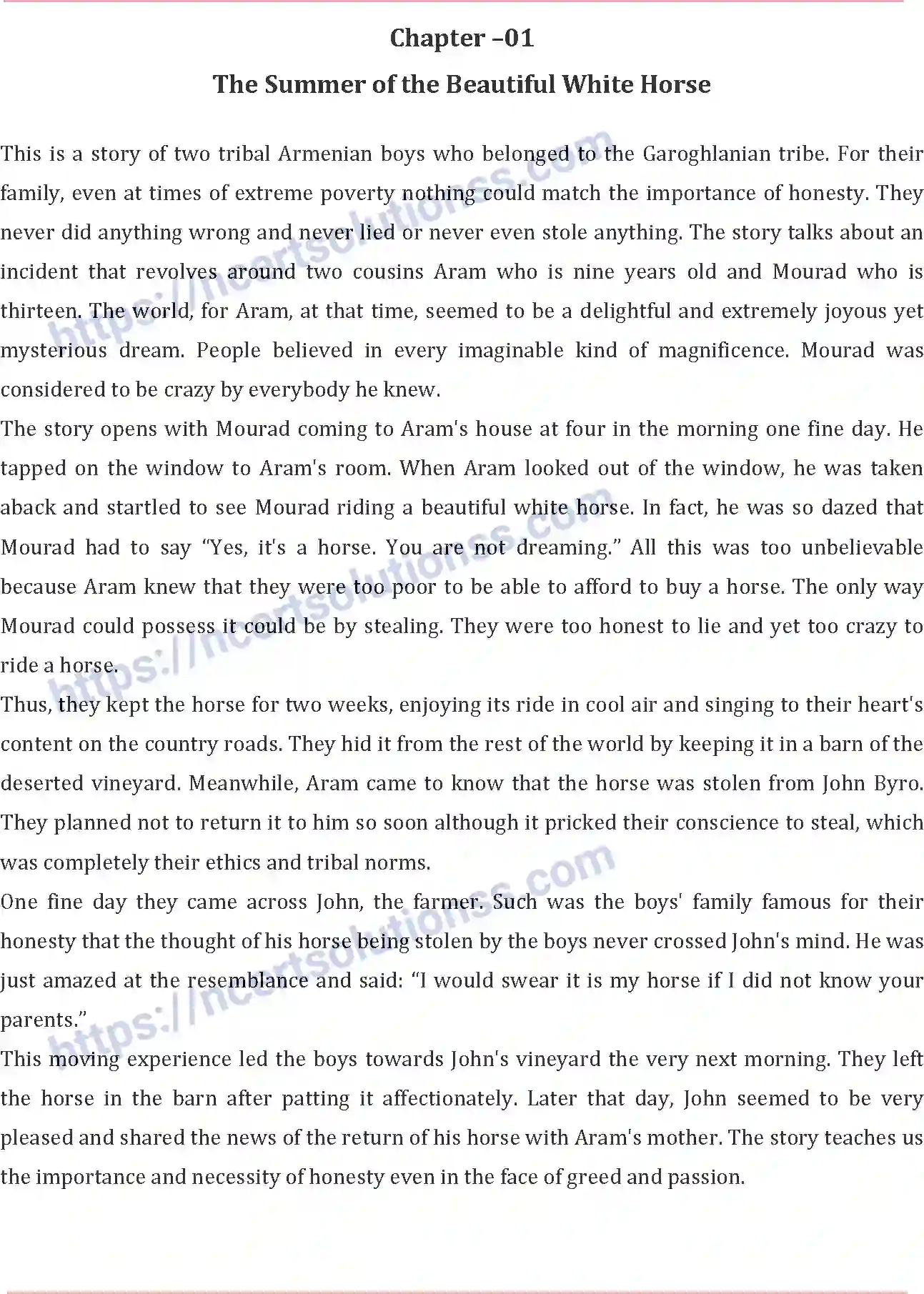 NCERT-Notes-Class-11-English-The-Summer-of-the-Beautiful-White-Horse-391-page-1