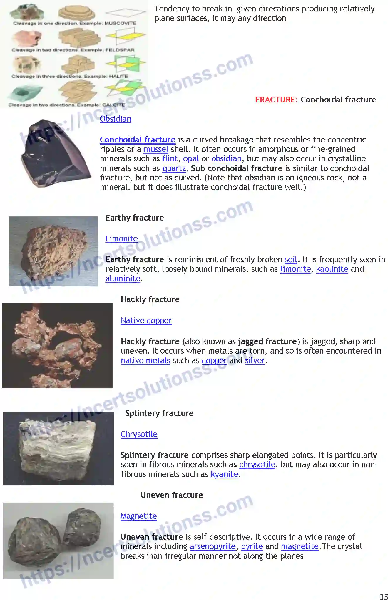 NCERT-Notes-Class-11-Geography-Minerals-and-Rocks-360-page-2
