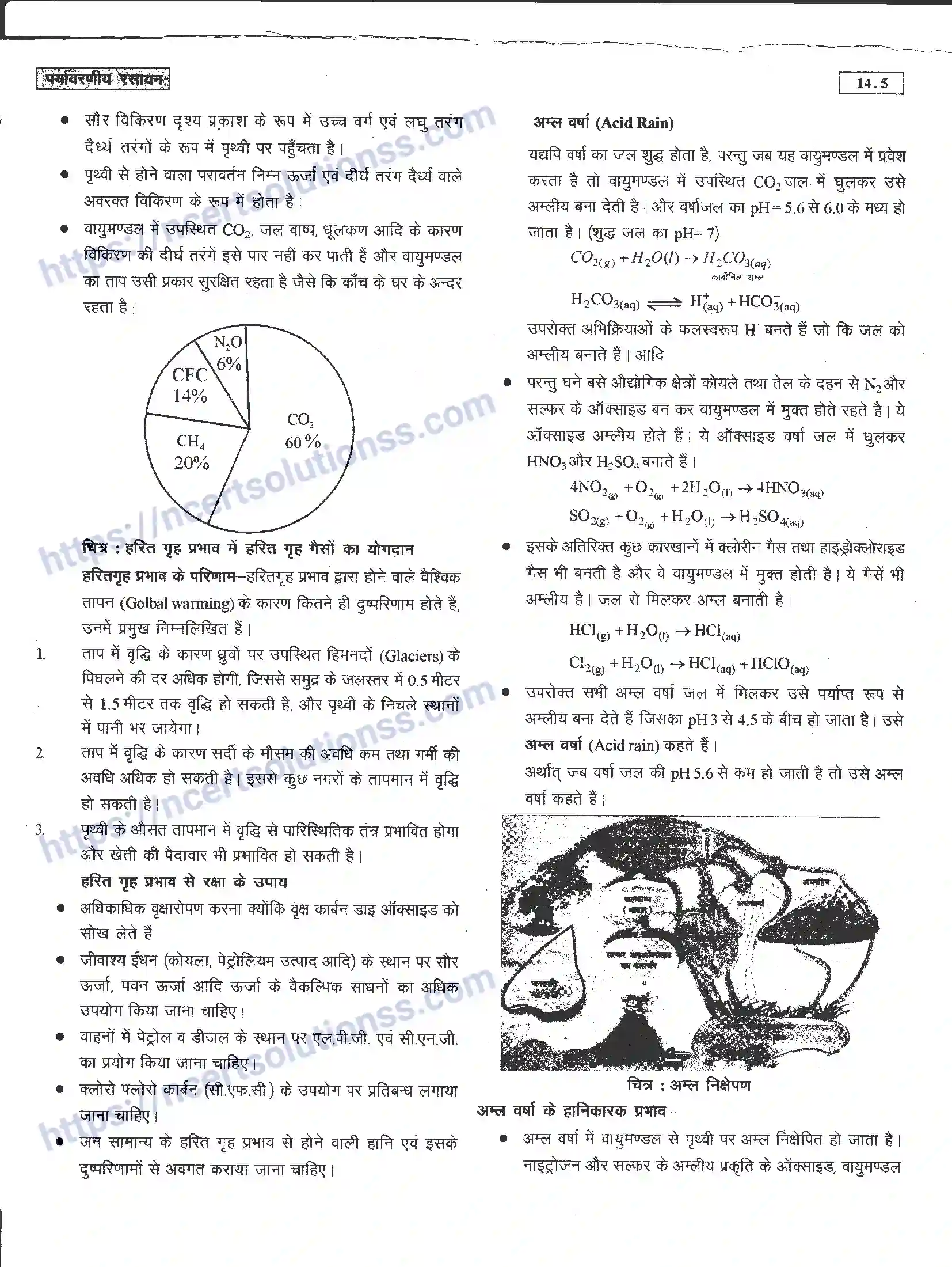 NCERT-Notes-Class-11-रसायन-विज्ञान-पर्यावरणीय-रसायन-1280-page-5