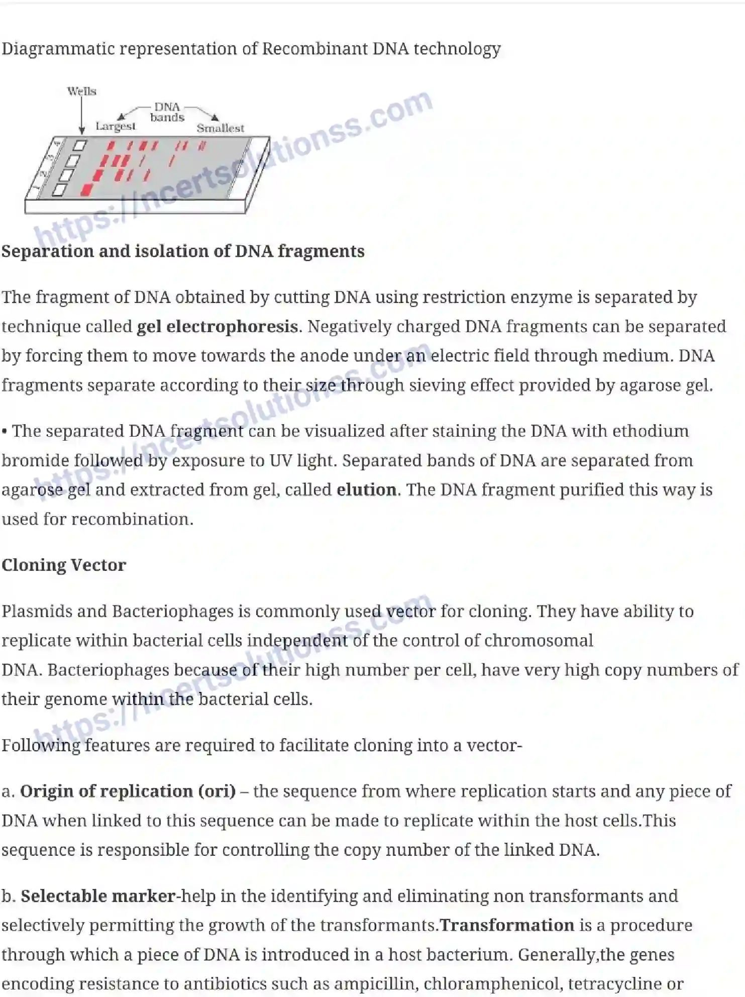 NCERT-Notes-Class-12-Biology-Biotechnology-Principles-and-Processes-24-page-5