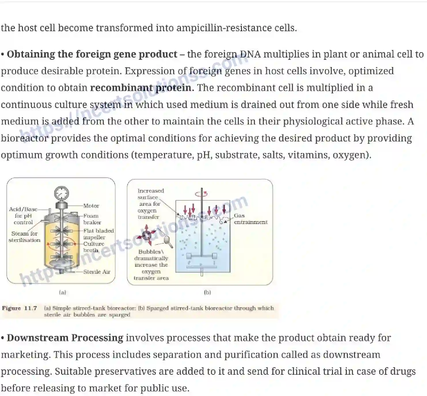 NCERT-Notes-Class-12-Biology-Biotechnology-Principles-and-Processes-24-page-9
