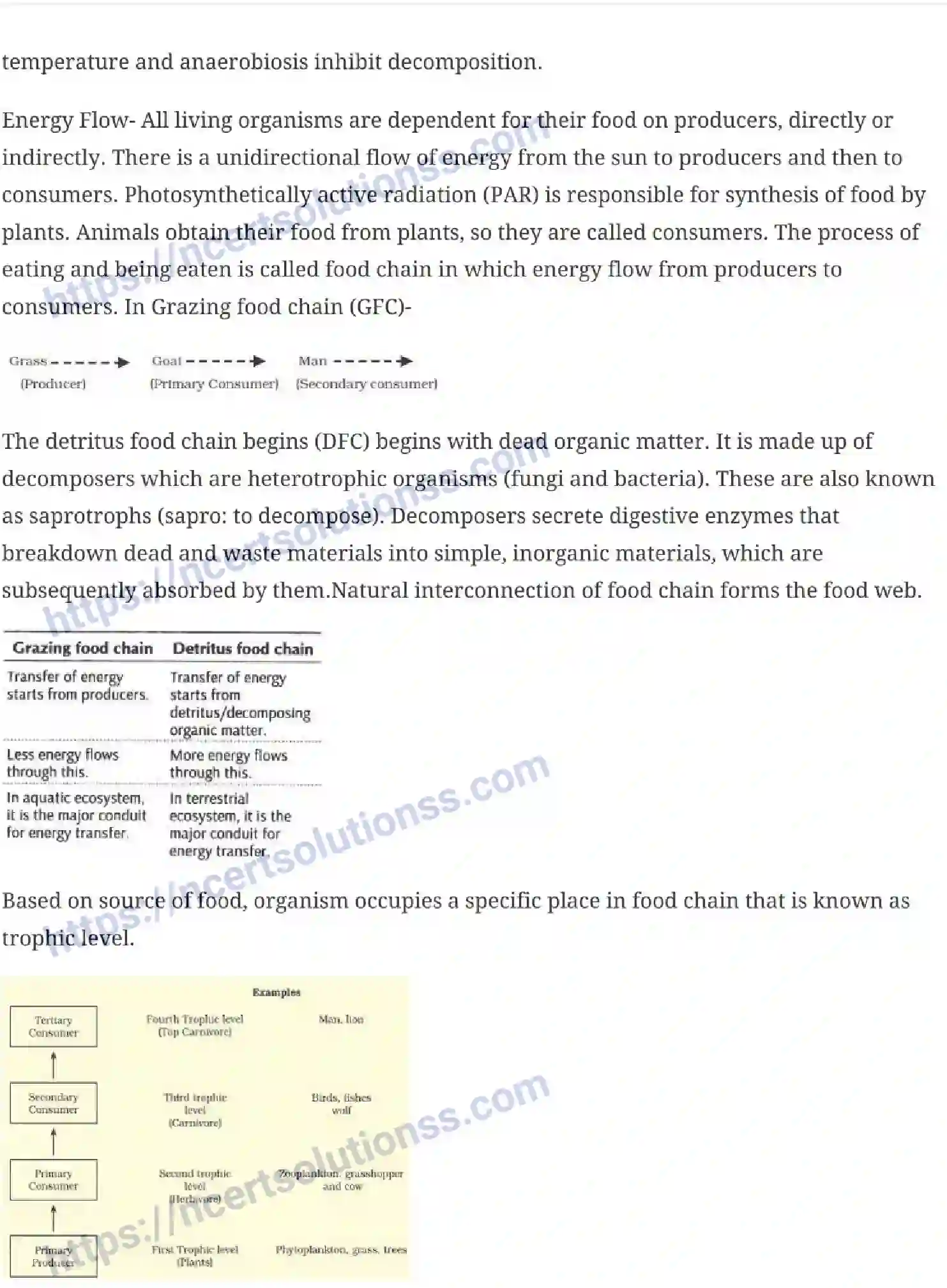 NCERT-Notes-Class-12-Biology-Ecosystem-27-page-3