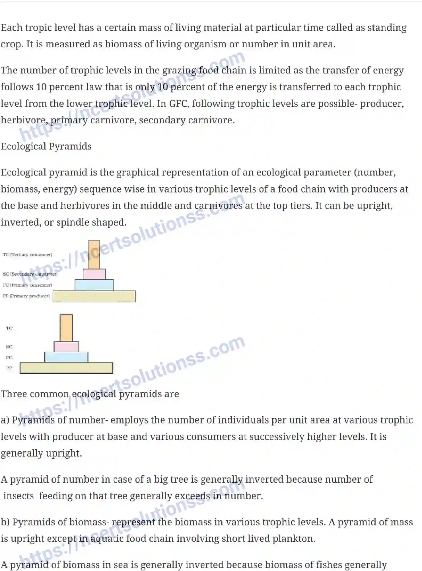 NCERT-Notes-Class-12-Biology-Ecosystem-27-page-4