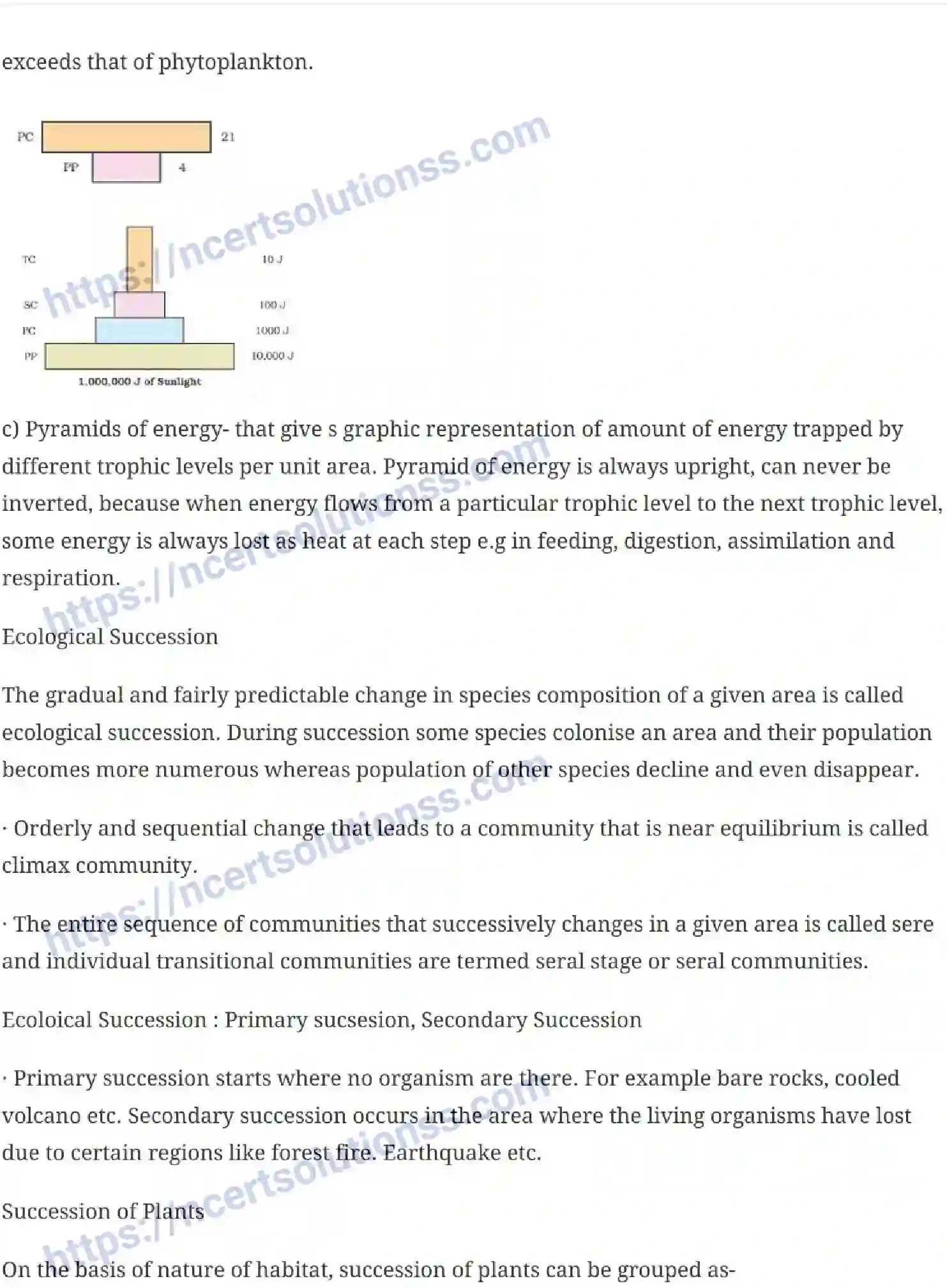 NCERT-Notes-Class-12-Biology-Ecosystem-27-page-5